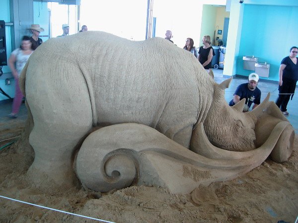 img_7062z-eulogy-a-sand-sculpture-of-a-rhinoceros-by-world-master-brian-turnbough-from-chicago-illinois.jpg