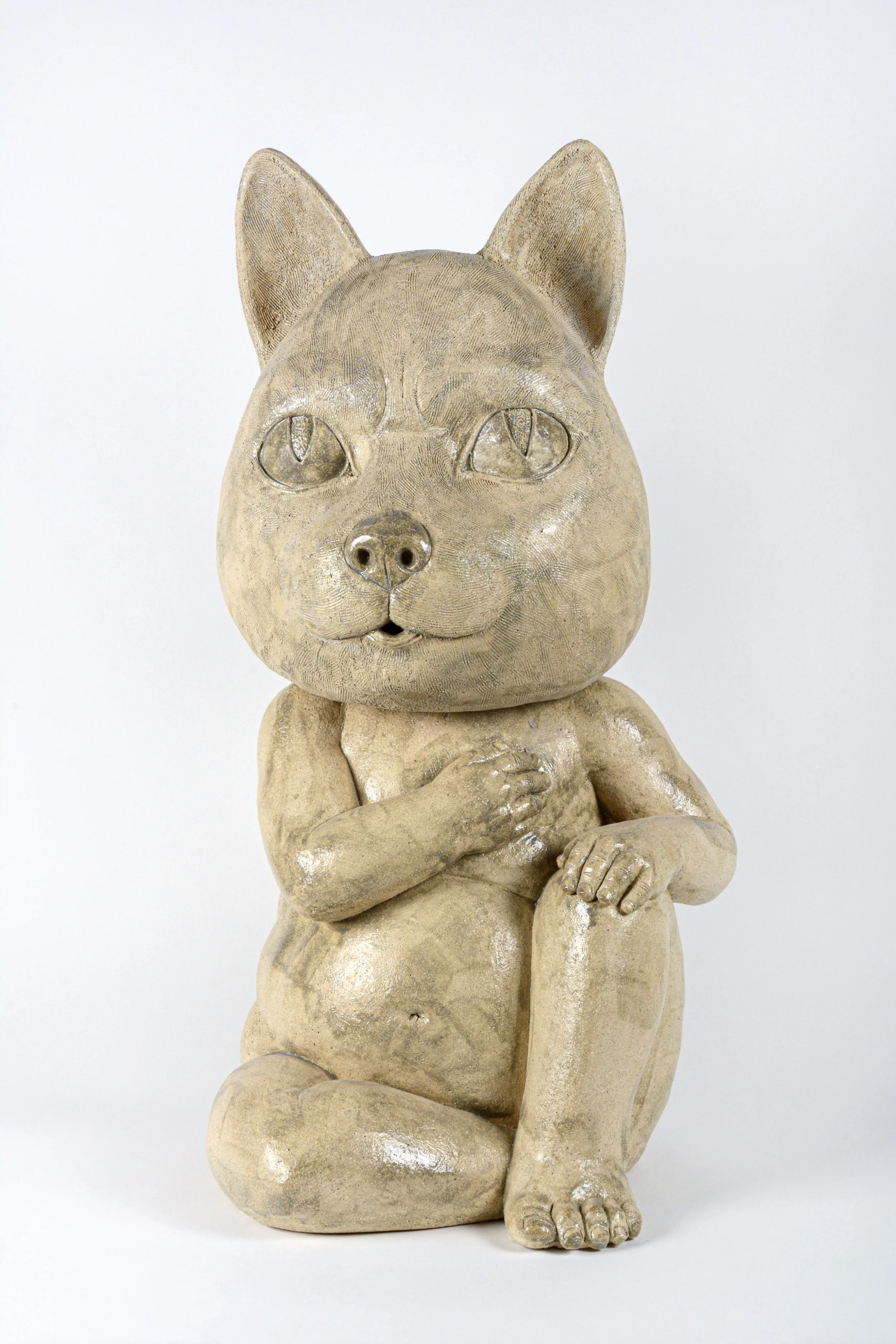 Penate Cattus. Mauricio Cortés .jpg