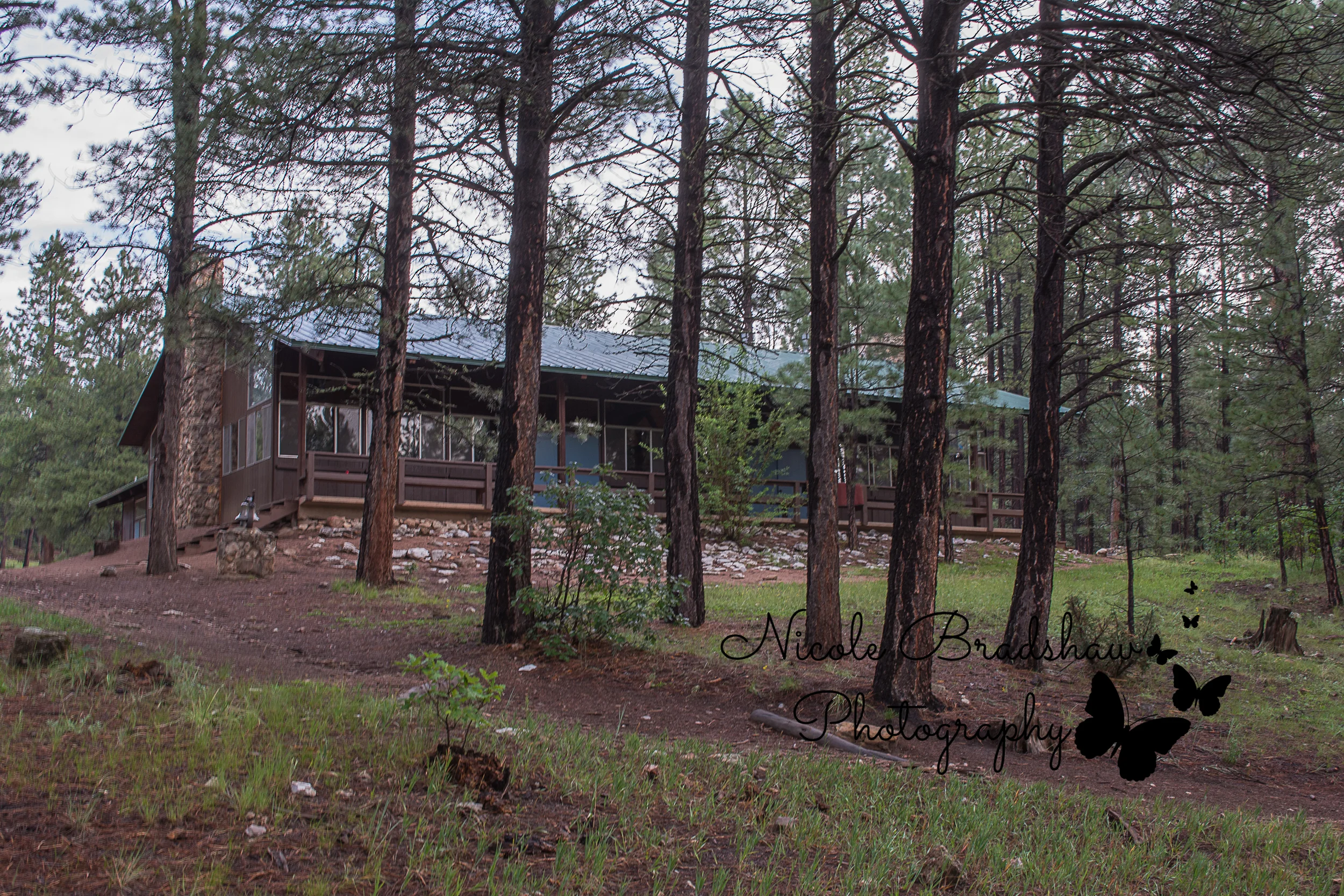 Girl-Scouts-of-New-Mexico-Trails