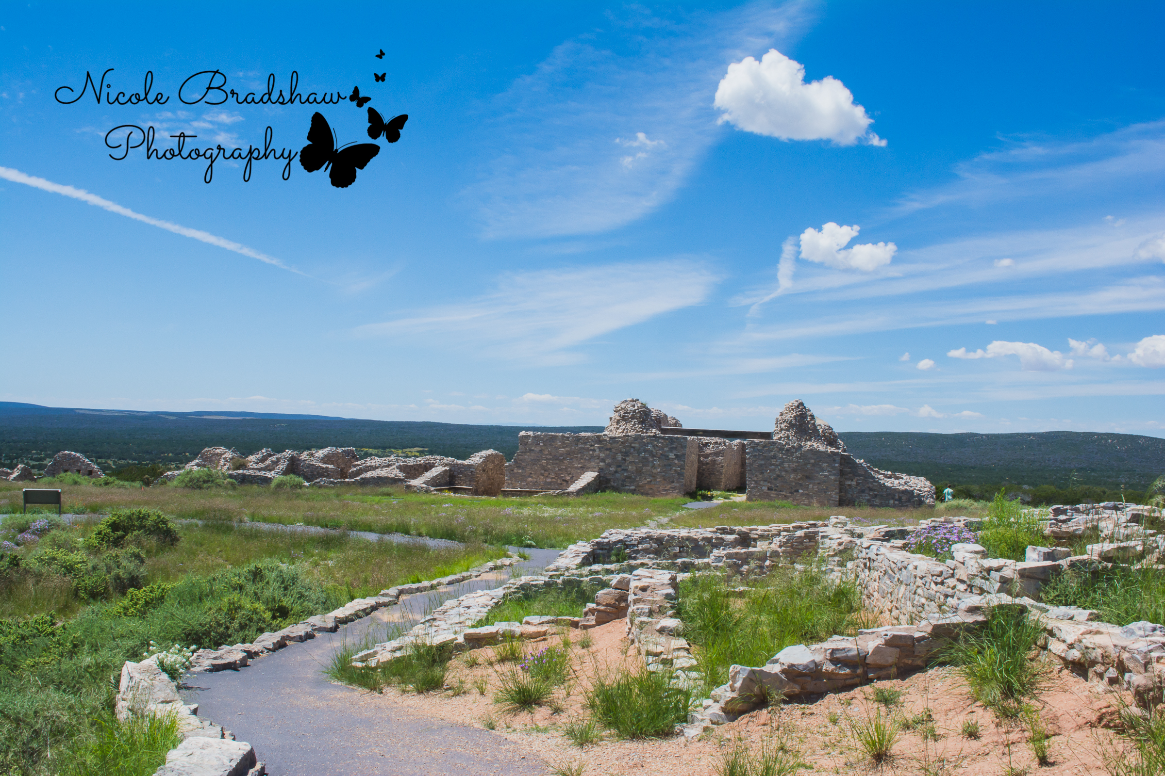 Albuquerque-New-Mexico-Photographer