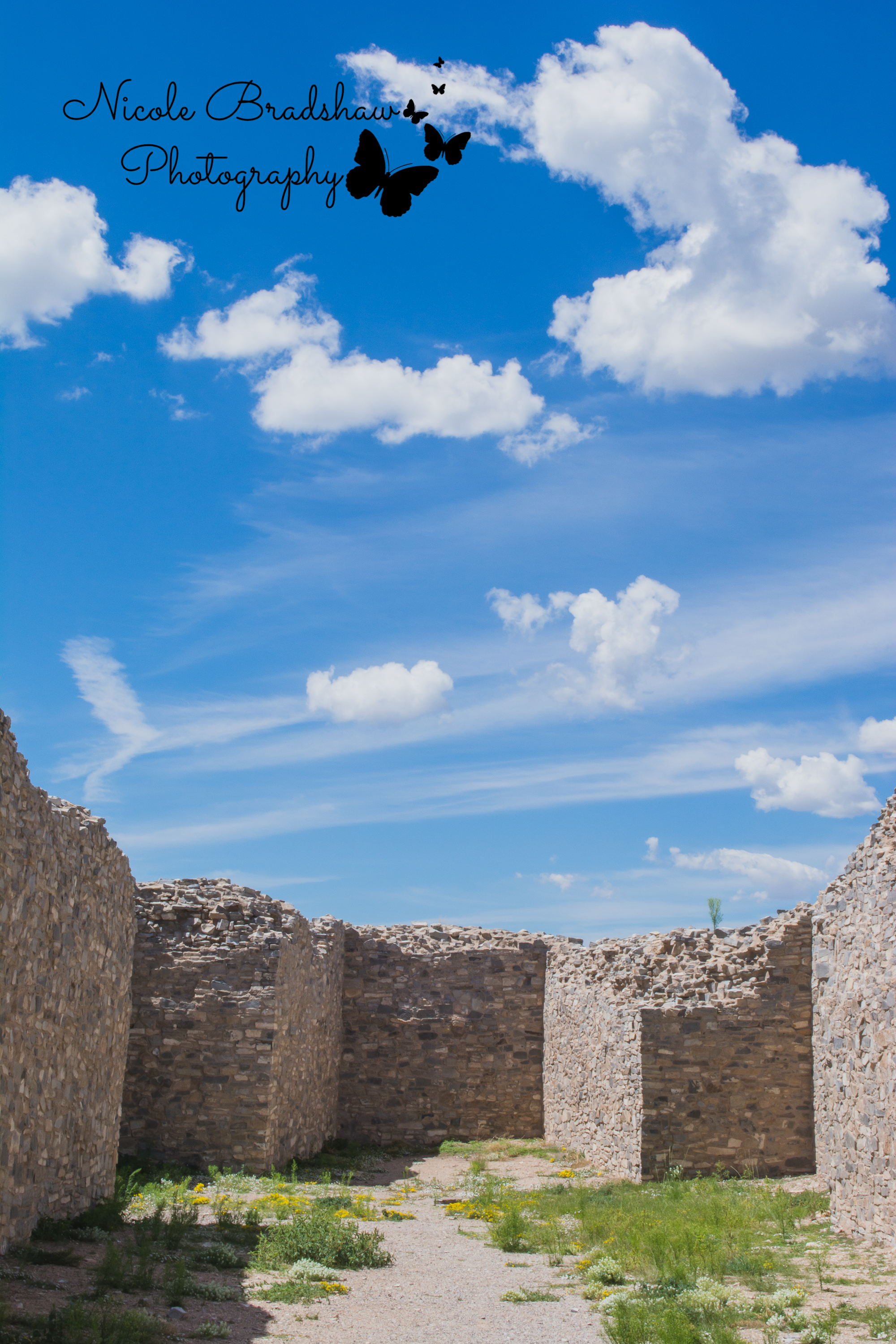 Albuquerque-New-Mexico-Photographer