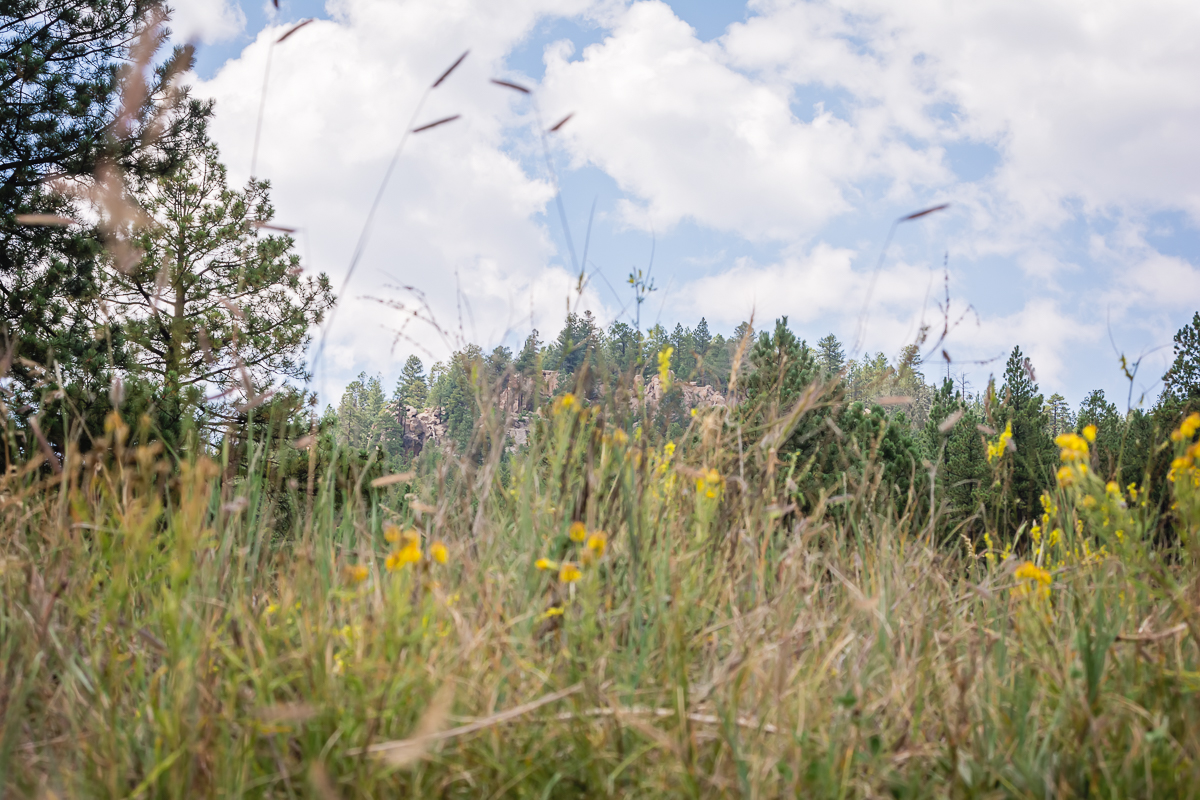 Girl Scouts of New Mexico Trails, Girl Scout Camp, Lifetime Girl Scout, Girl Scout Photographer, Albuquerque Family Photographer, Santa Fe Wedding Photographer, Rio Rancho Photographer