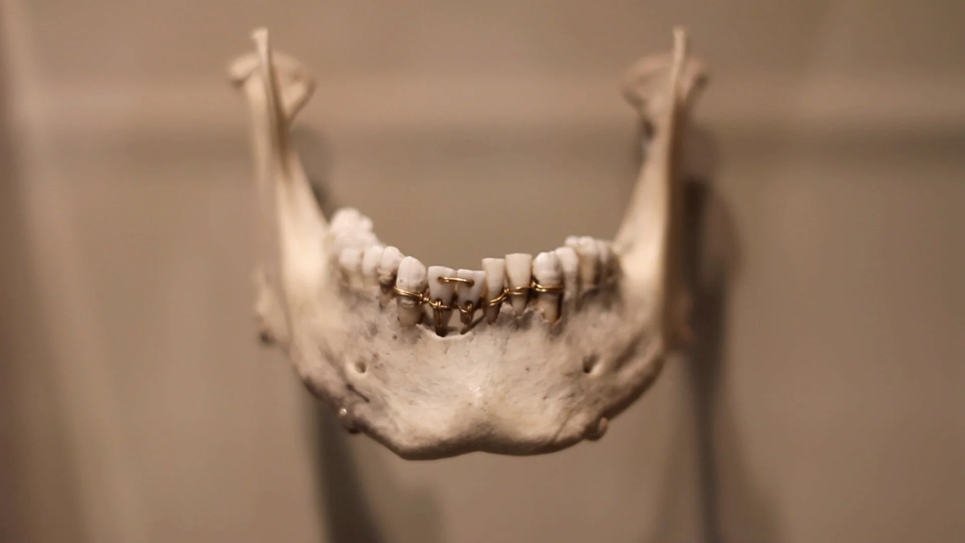 MVI_0256_1.jpg