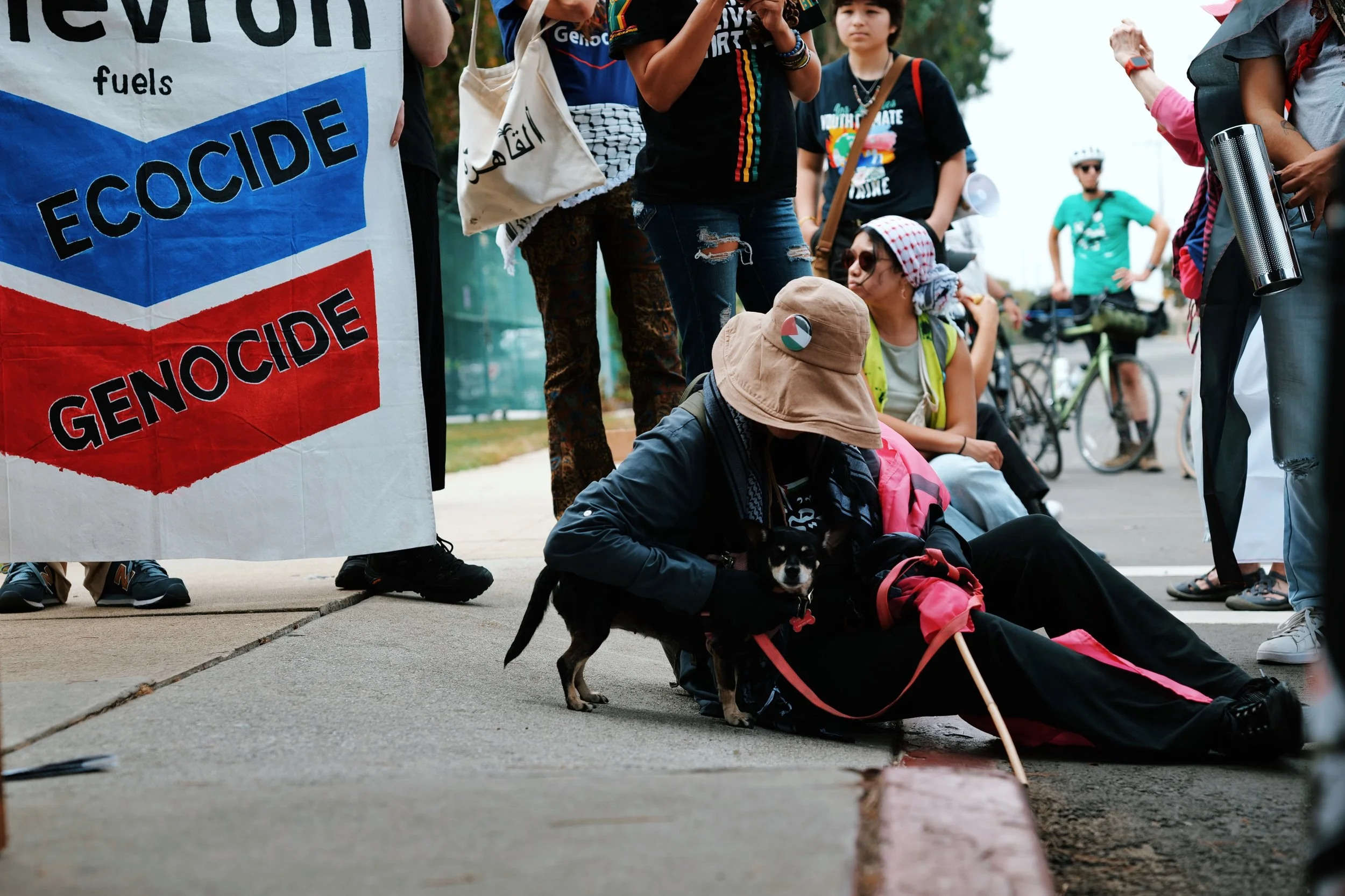 81B5C1C4-FBF1-4337-8AC1-79B1CED9F340.JPG