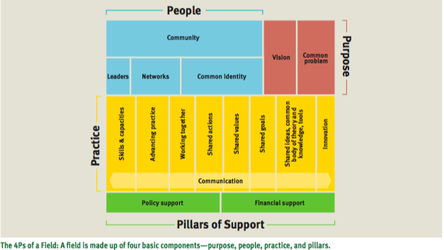 The 4 Ps of a Field Purpose People Practice Pilar.png