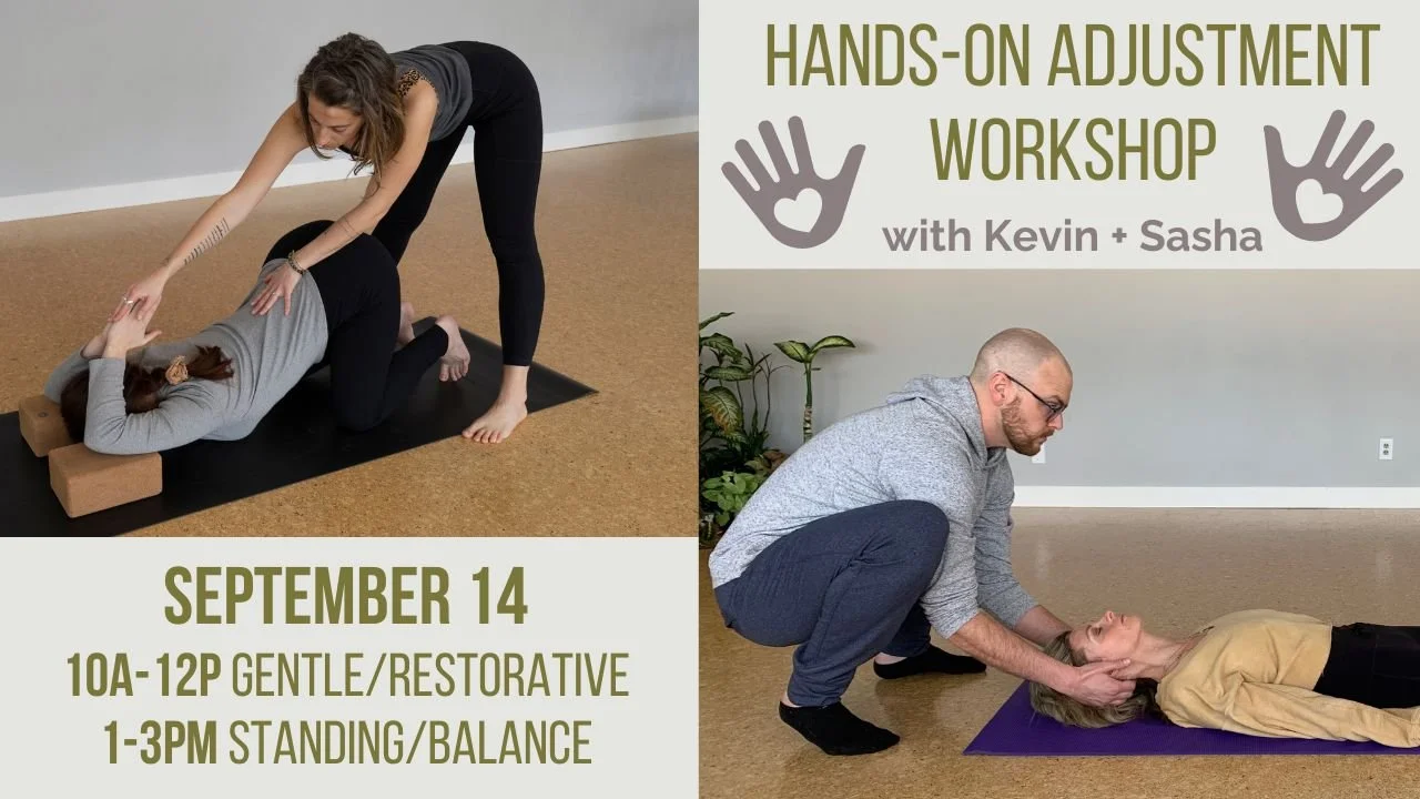 Hands-On Adjustment Workshop