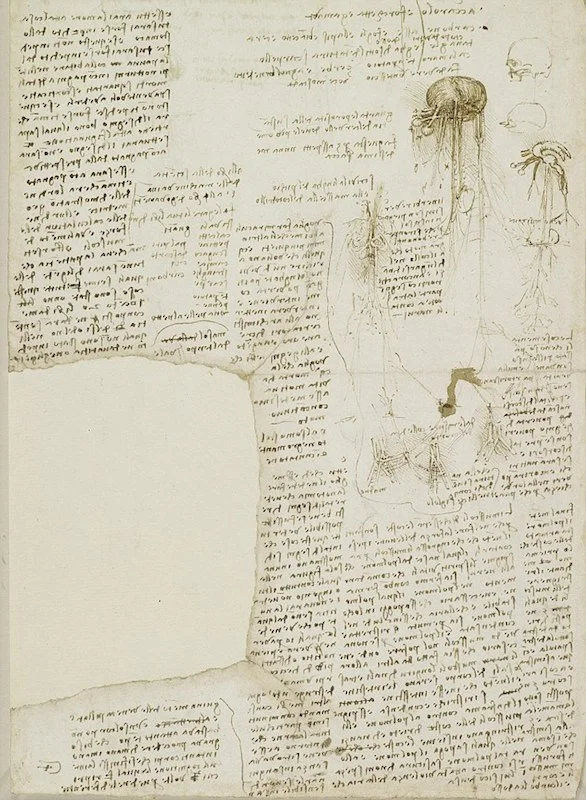 leonardo-todo-list.jpg