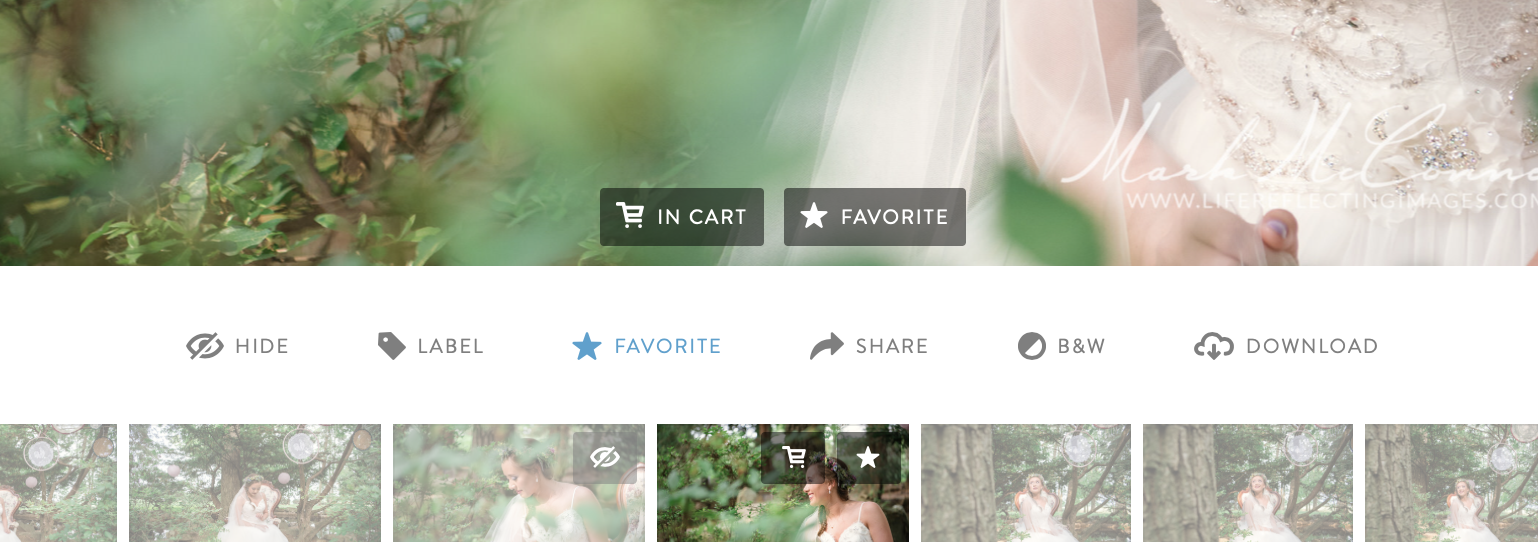 Screenshot+2019-03-01+19.23.40.jpg