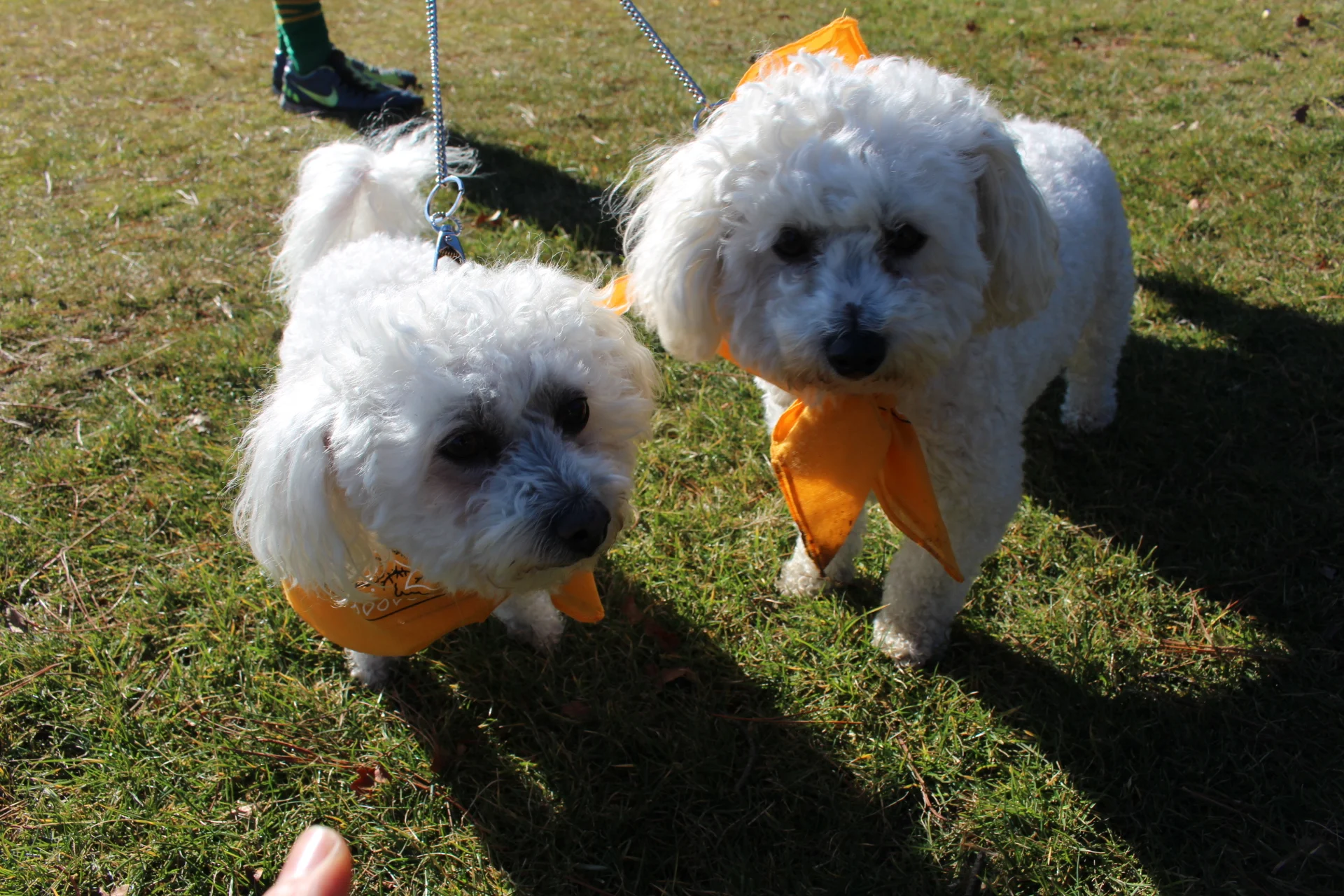 JULY 15 074 - Copy.JPG