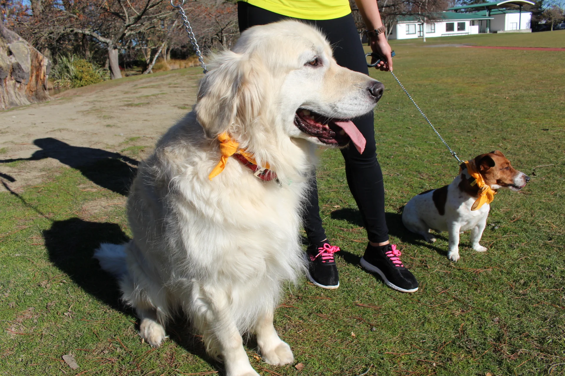 JULY 15 111 - Copy - Copy.JPG