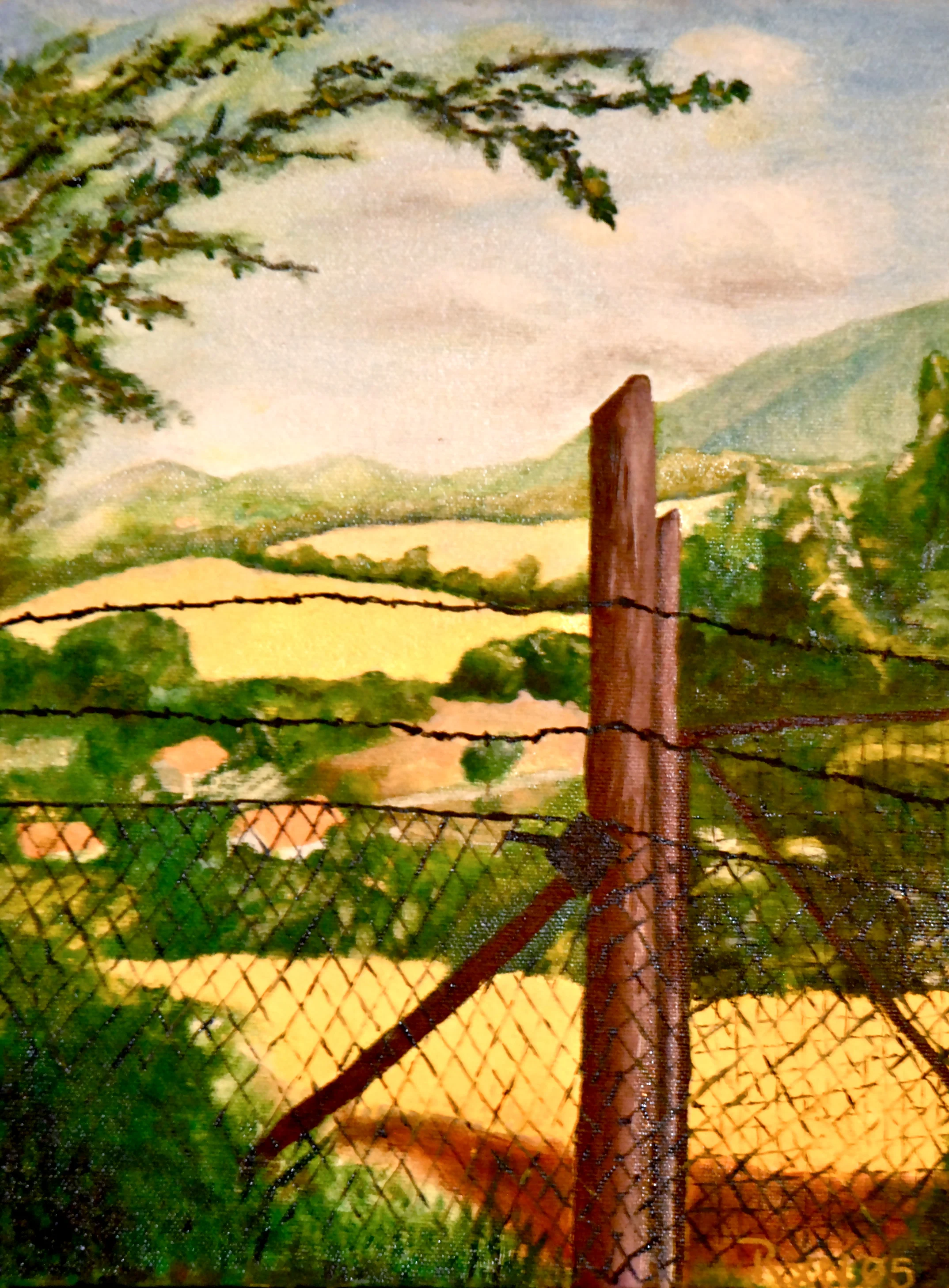 Mary'sFarmBarbedWire.jpg