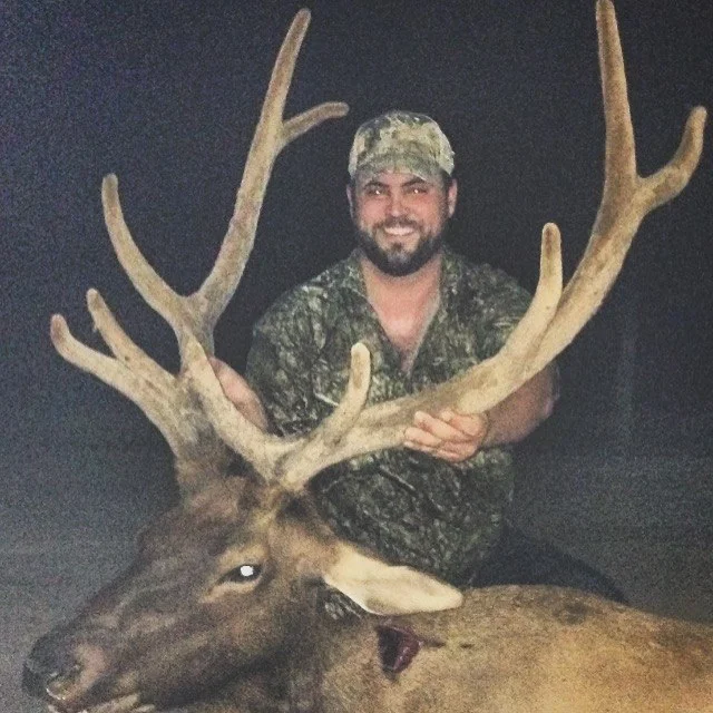 Bull Elk.jpg