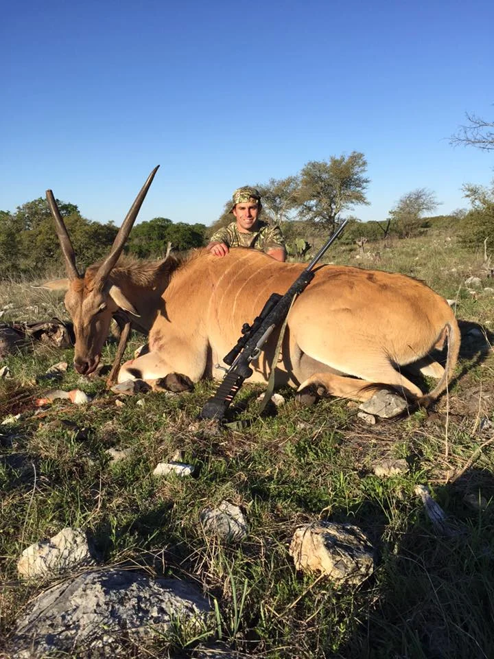 Eland.jpg