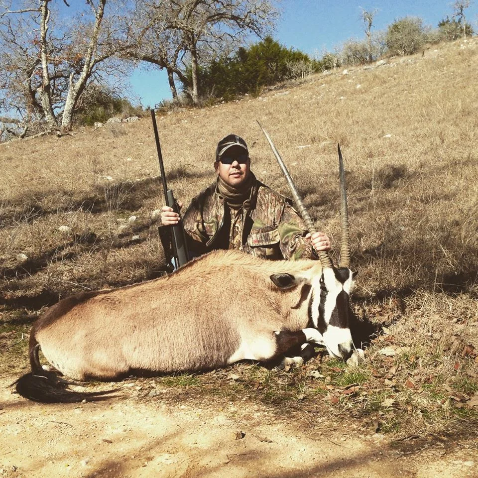 Gemsbok.jpg