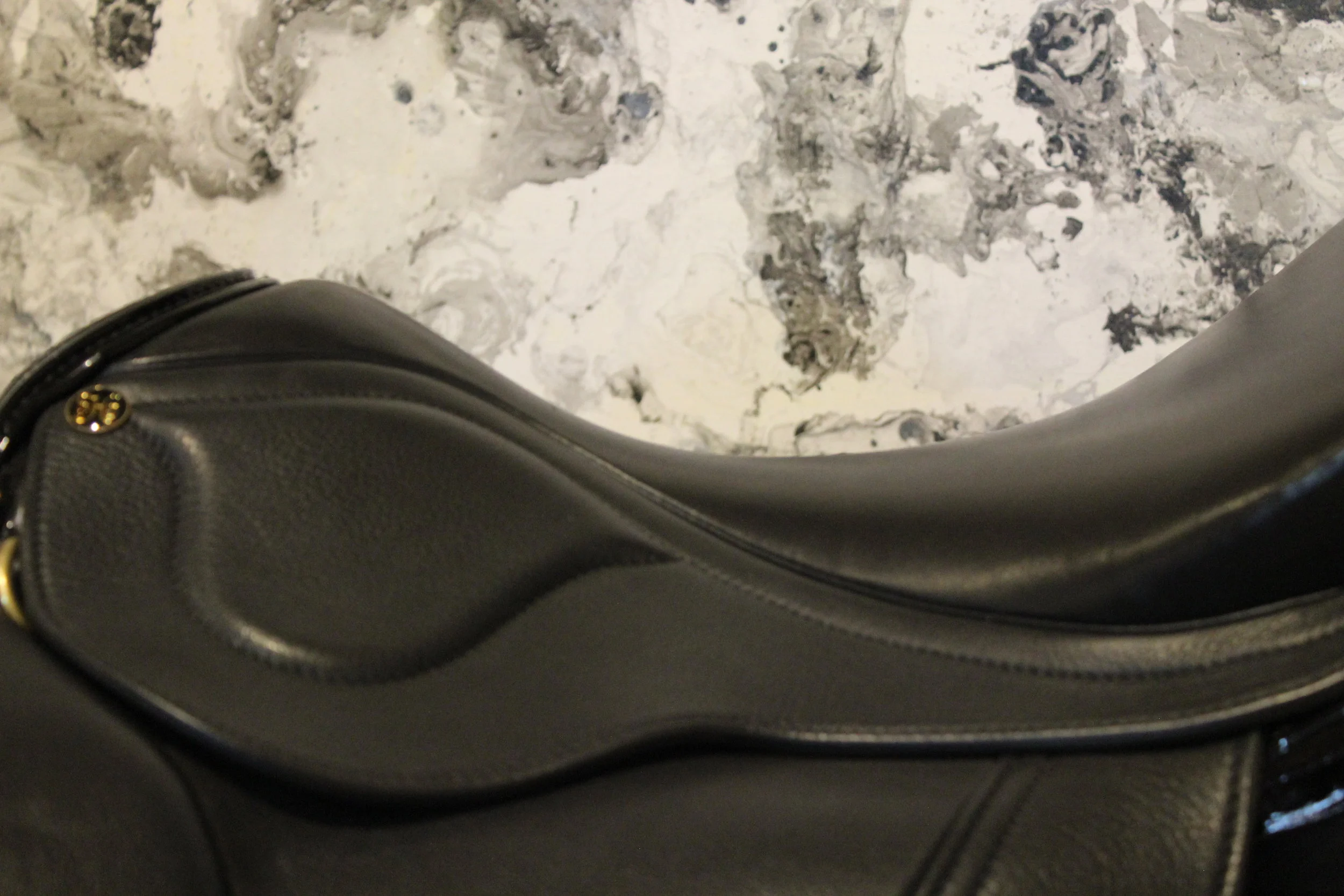 Saddle Fitting Clinic - Sweden