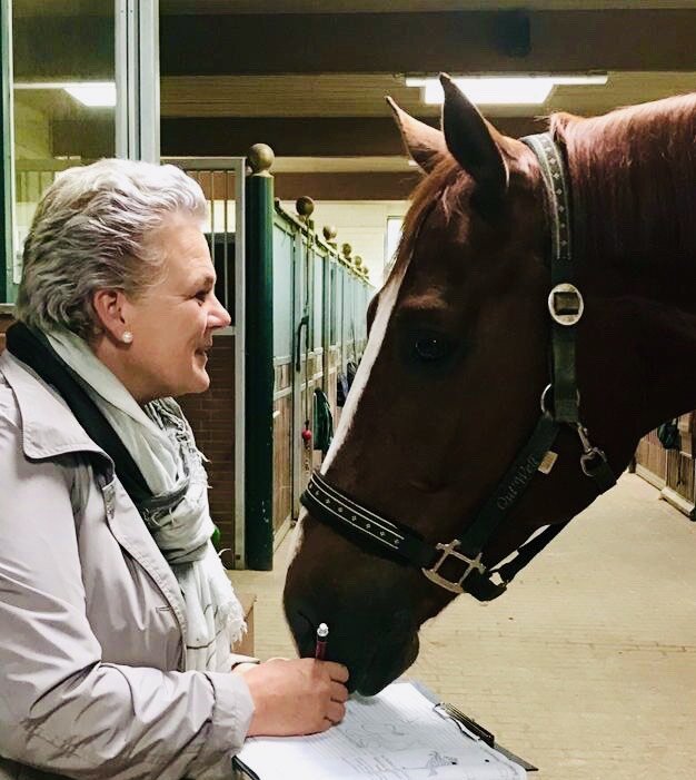 Saddlefitting Norddeutschland, Dänemark, Berlin, Bayern