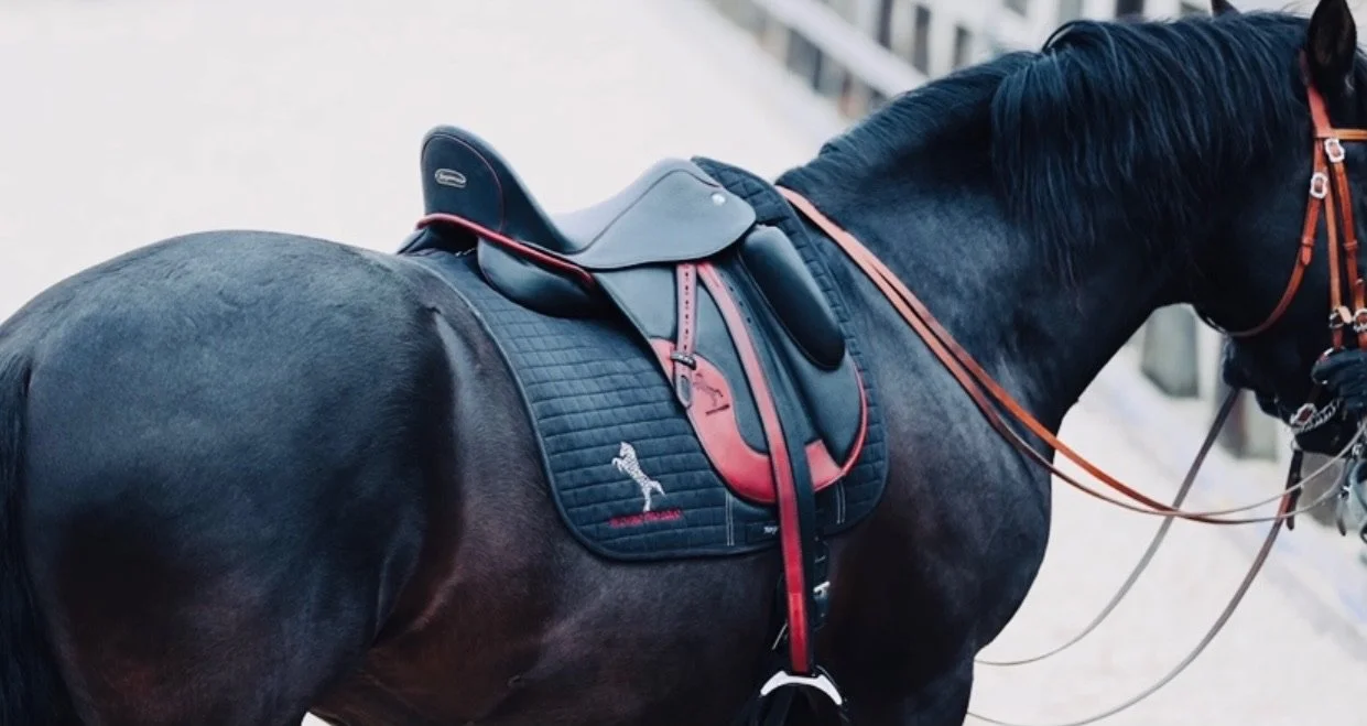 Saddlefitting Schweiz
