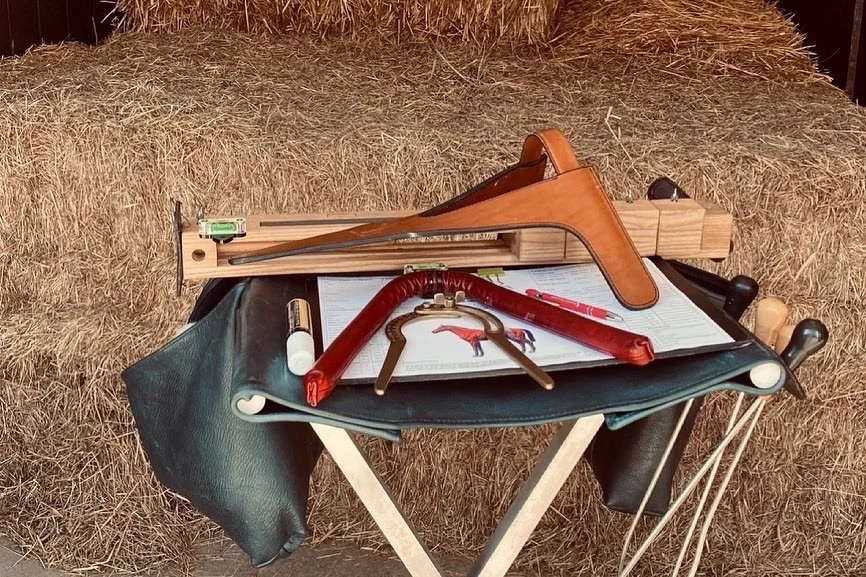 Saddlefitting Baden-Württtemberg