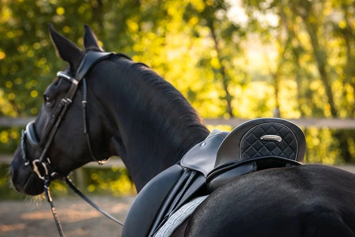 Saddlefitting Hannover/Braunschweig/Berlin/Görlitz