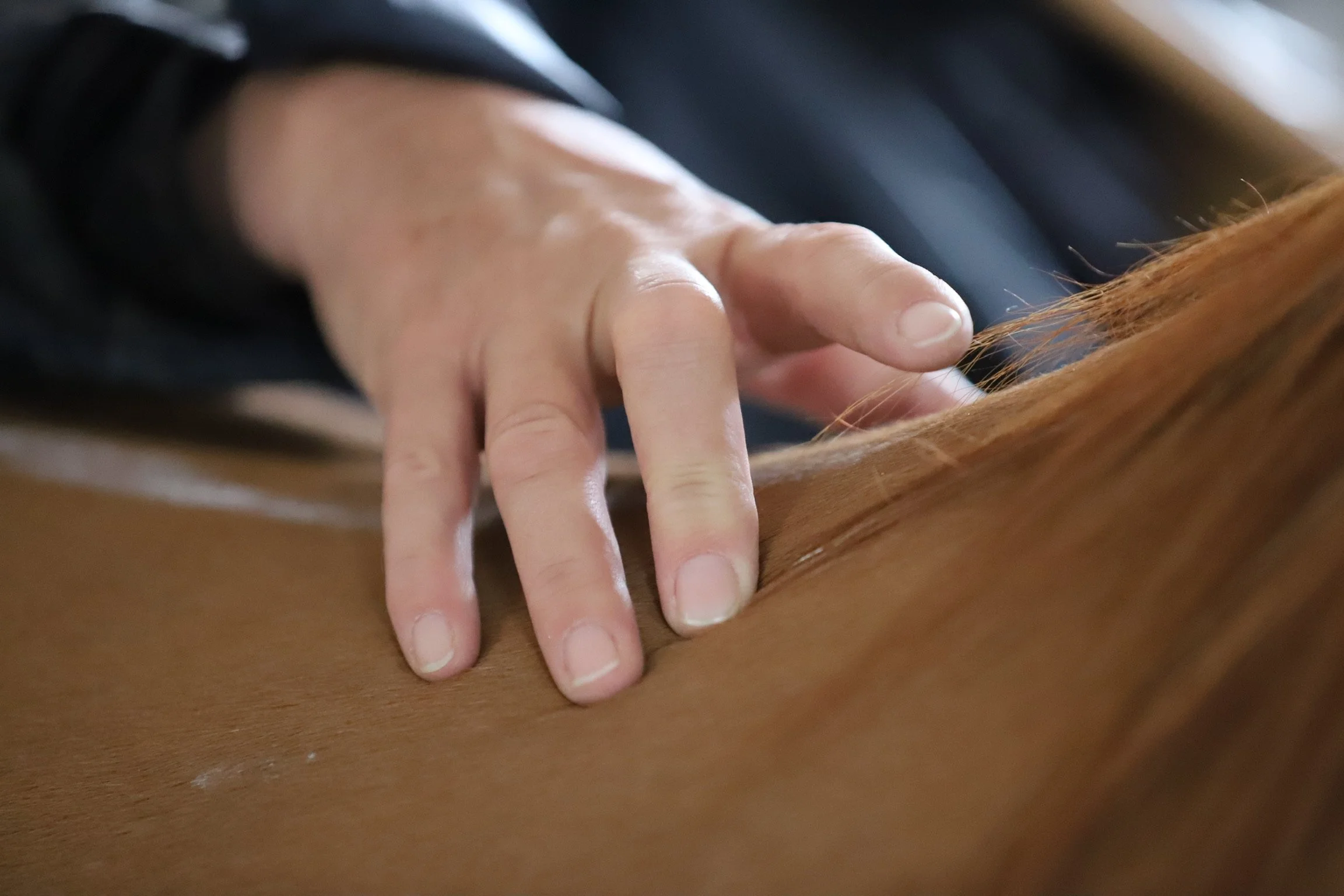 Saddlefitting Süddeutschland/Österreich/Schweiz