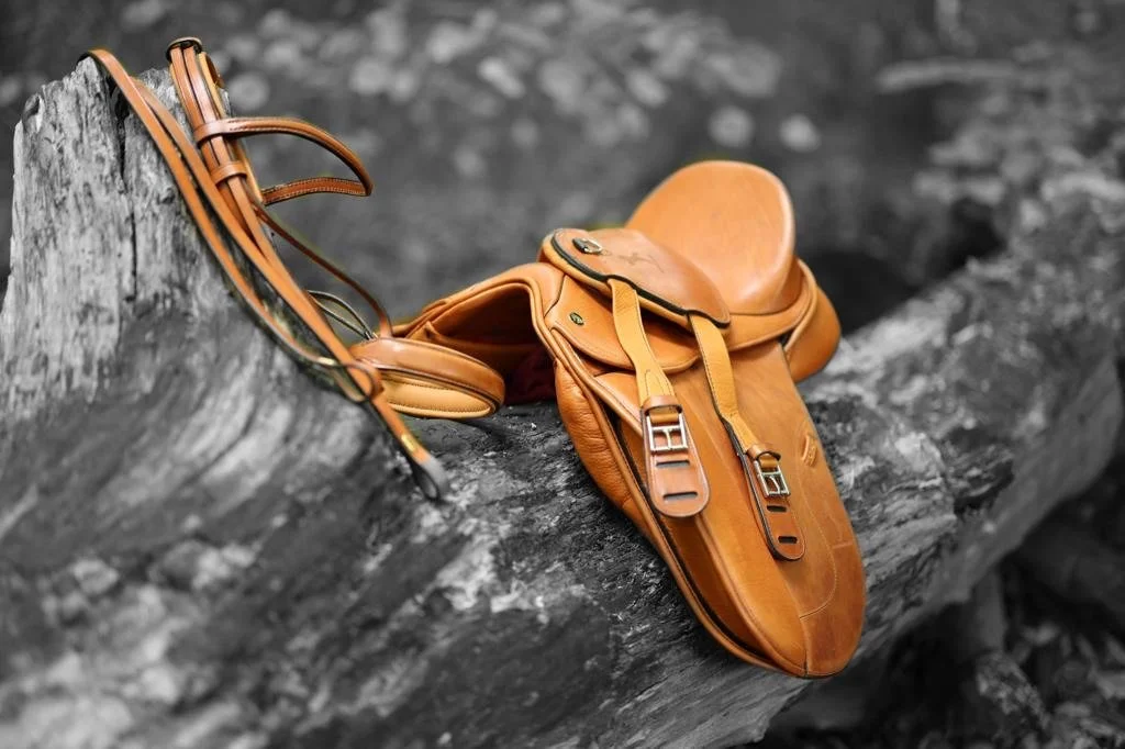 Saddlefitting Süddeutschland/Österreich/Schweiz