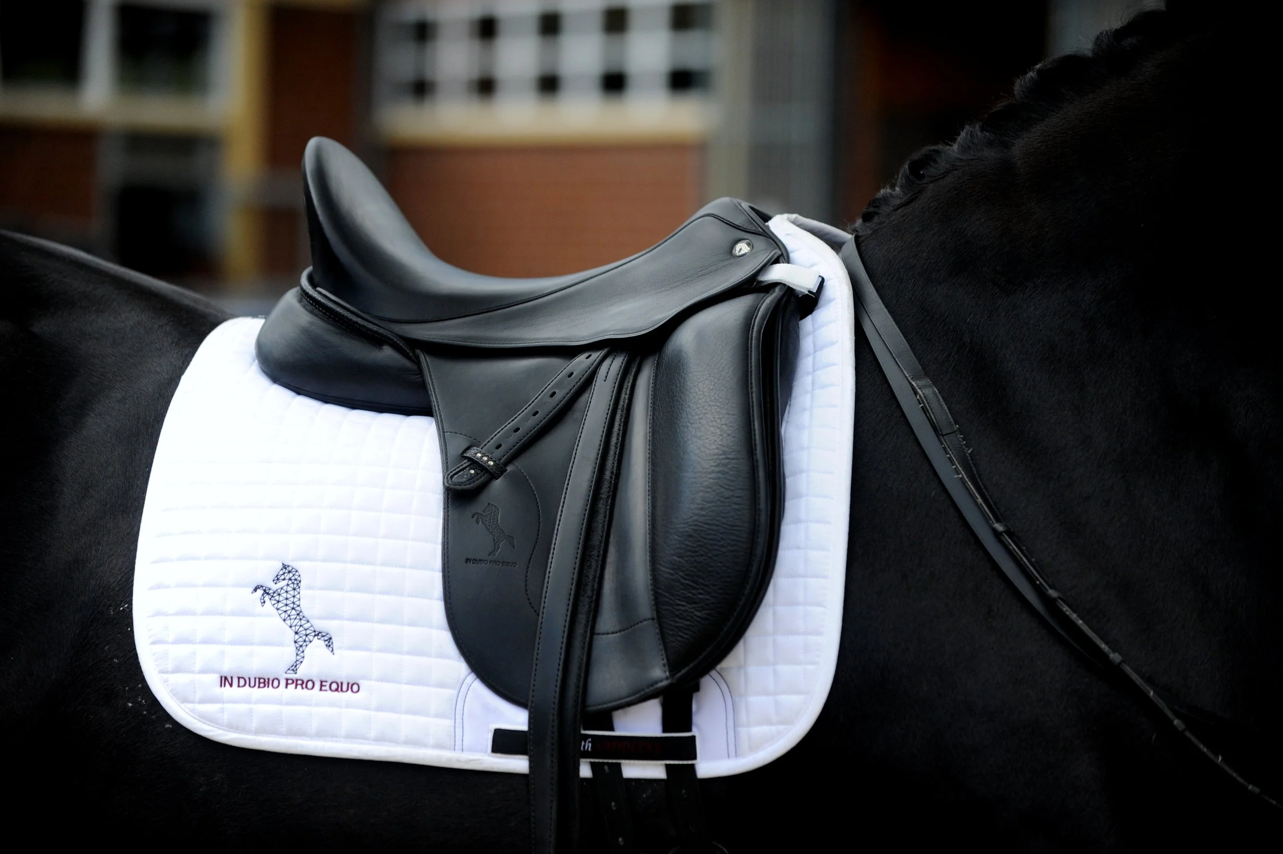 Saddlefitting and presentation at CDI WELLINGTON/FL