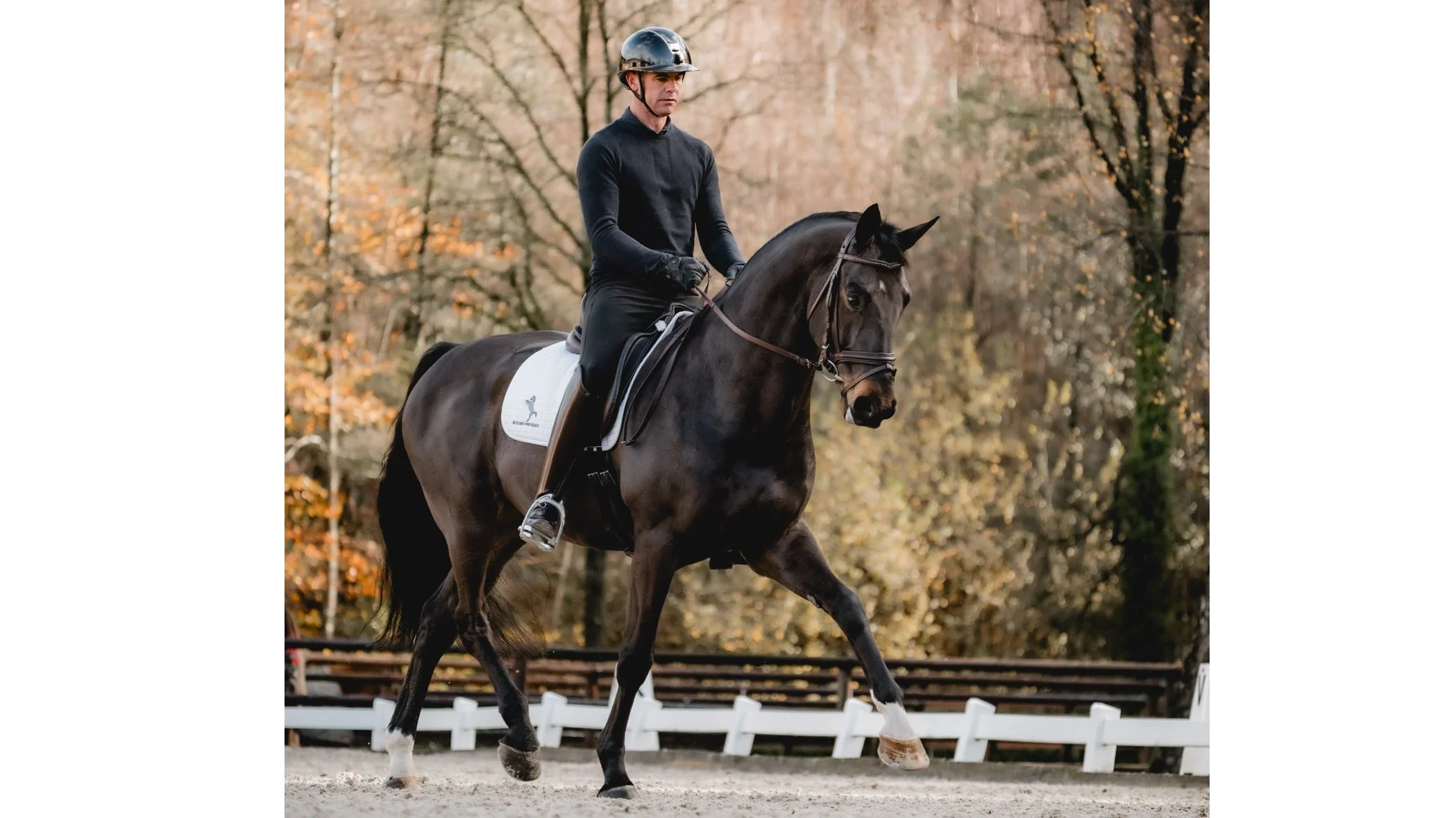 Saddlefitting TAMPA/FL