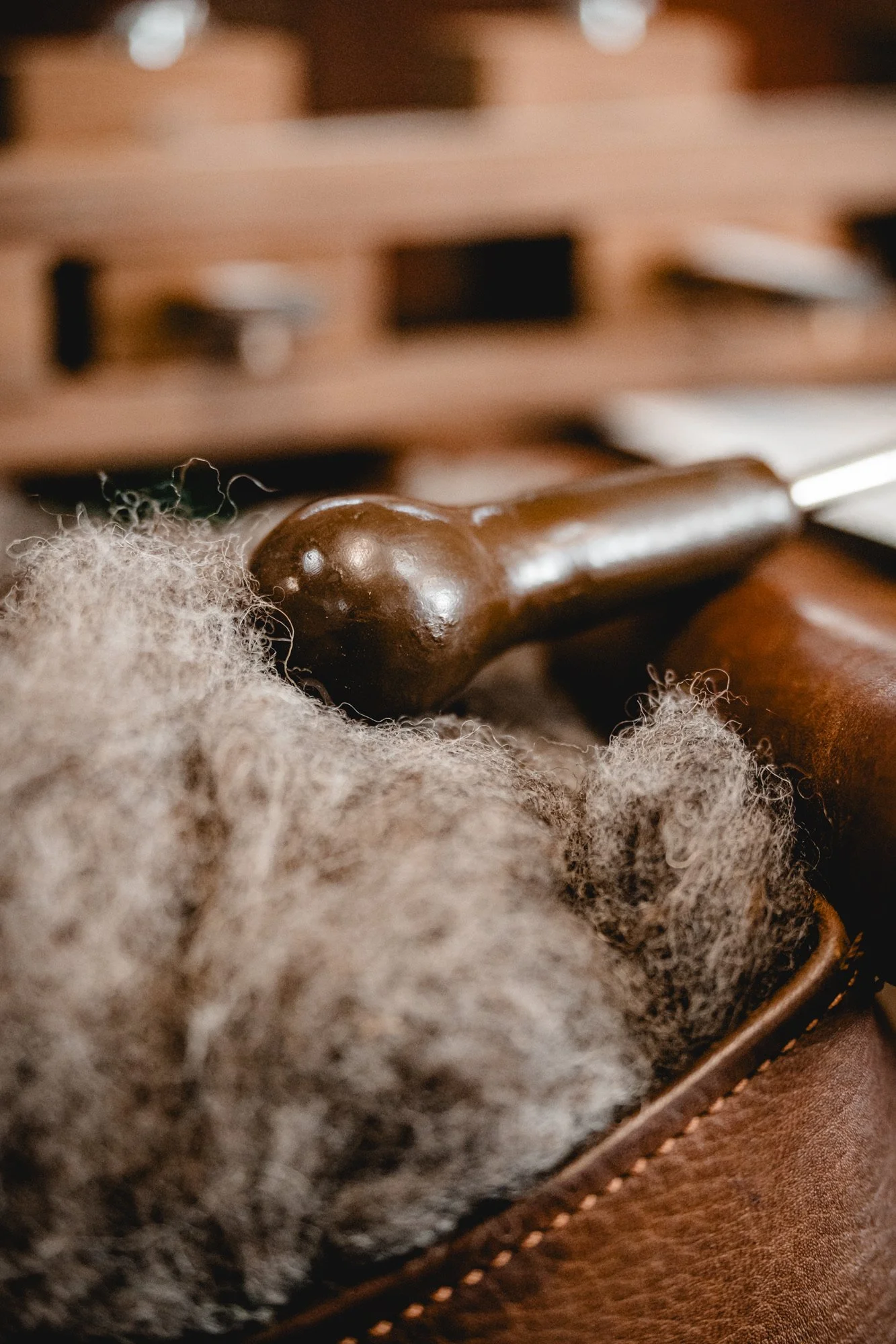 Saddlefitting NRW und Schleswig Holstein