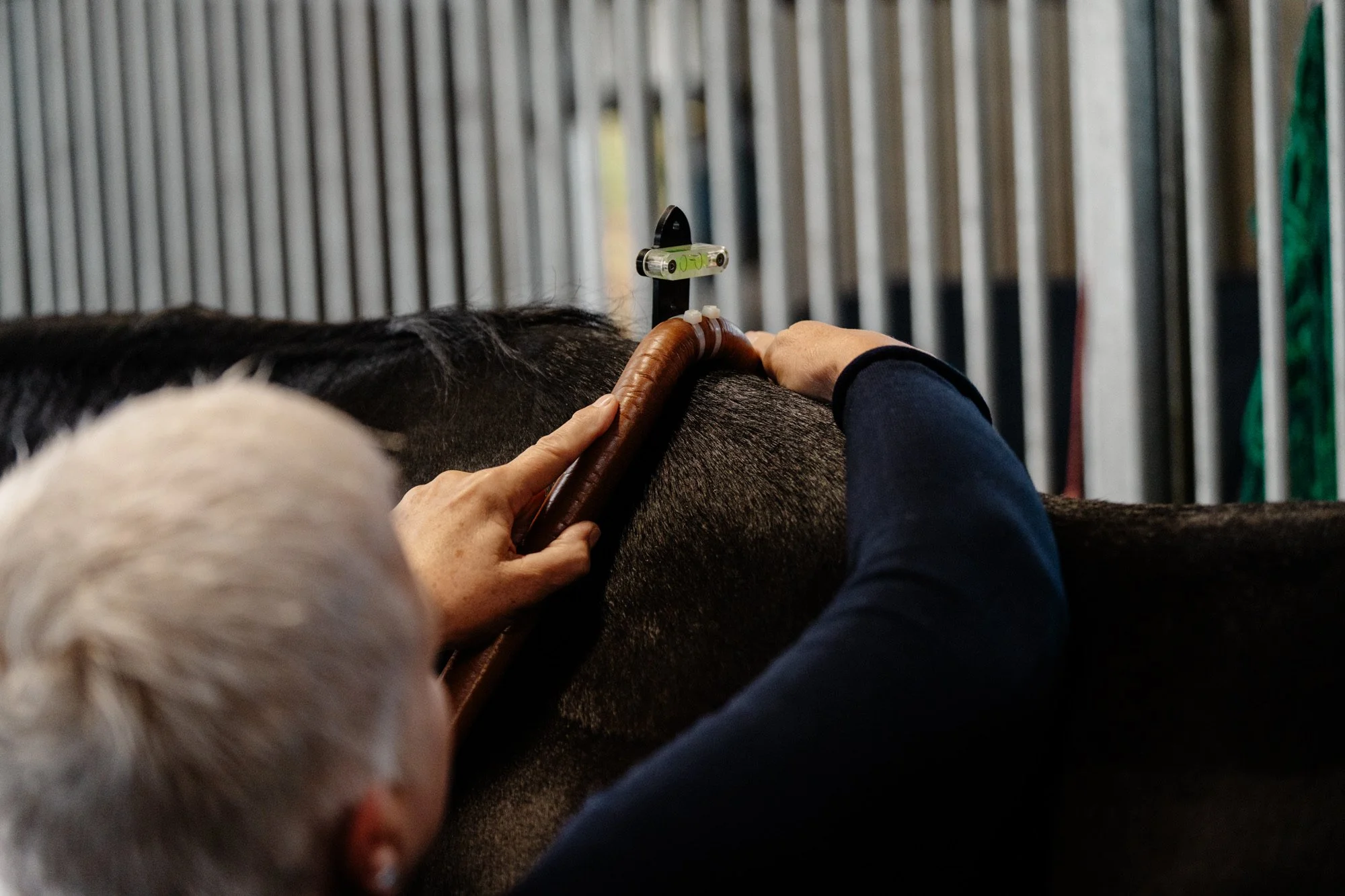 Saddlefitting Bayern/Sachsen/NRW/BW