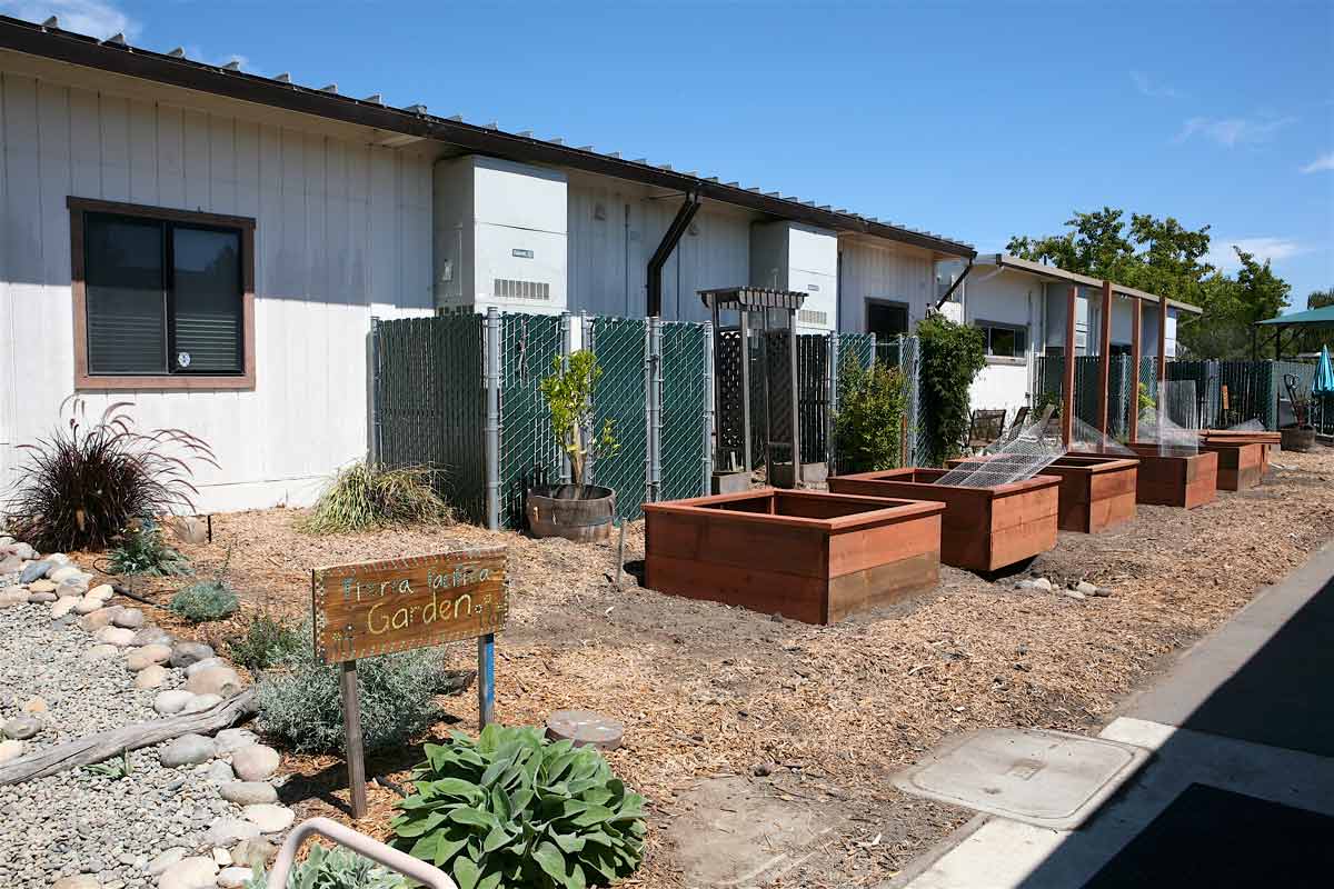 gardenbeds2.jpg
