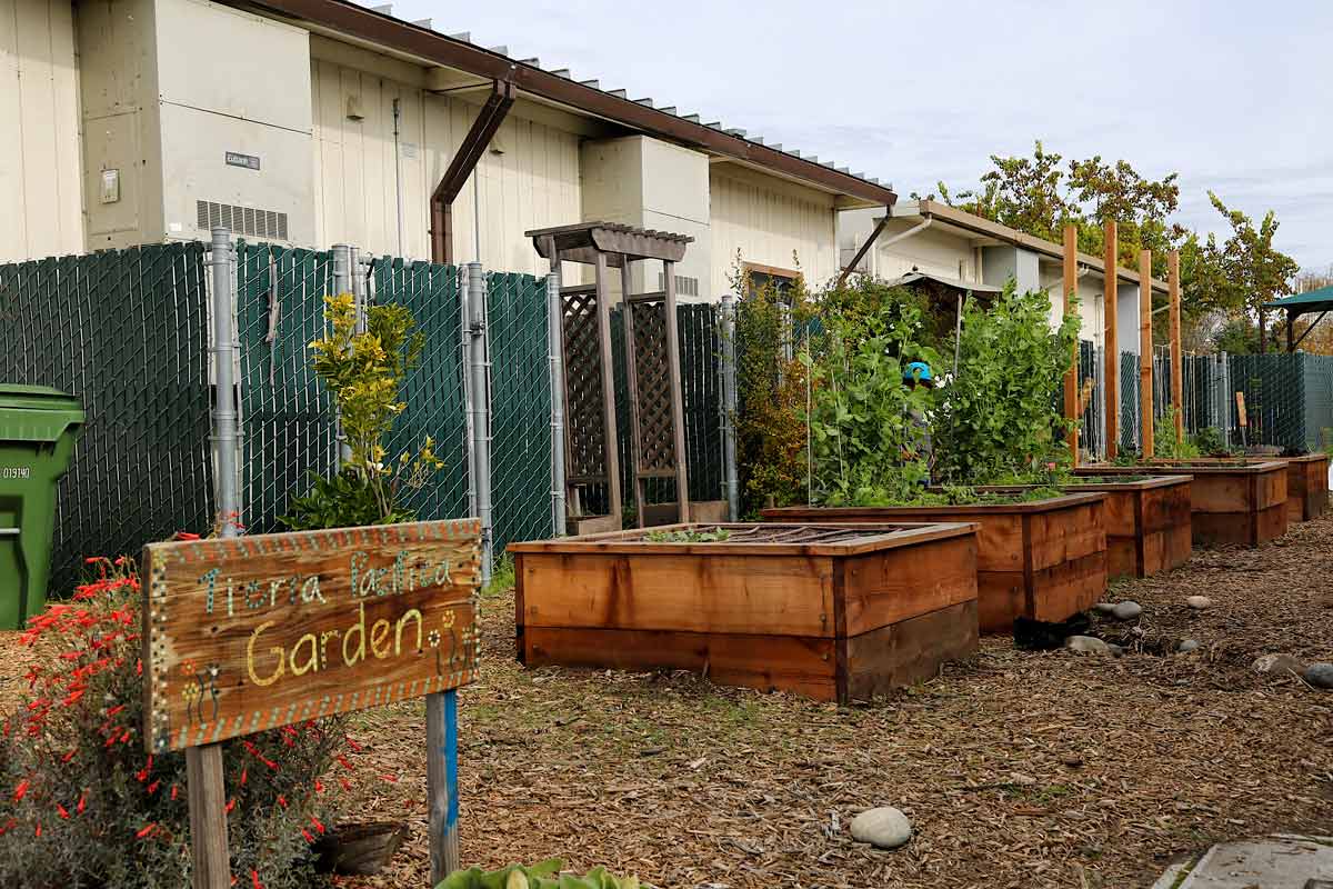 gardenbedsplanted.jpg