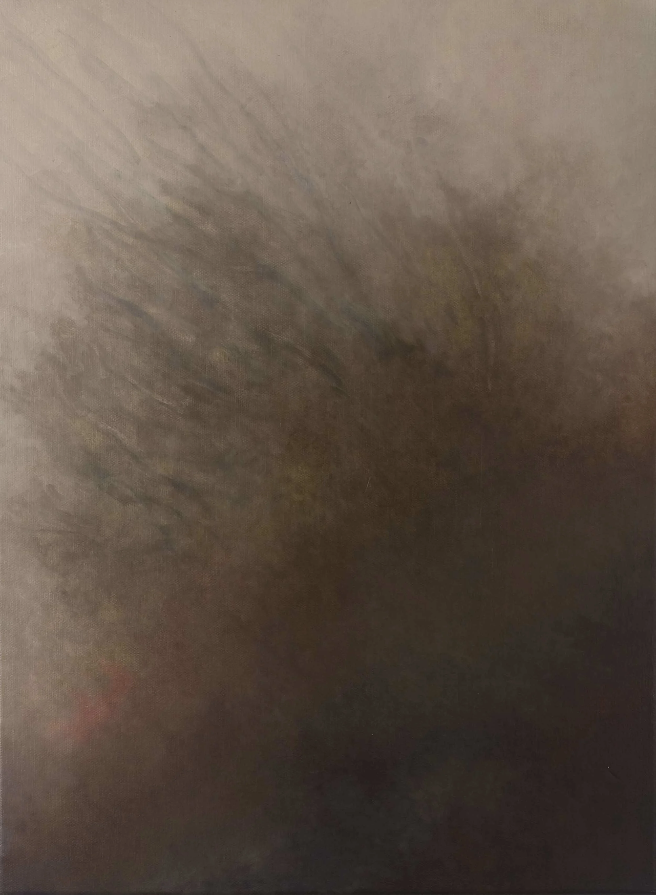 Morning mist