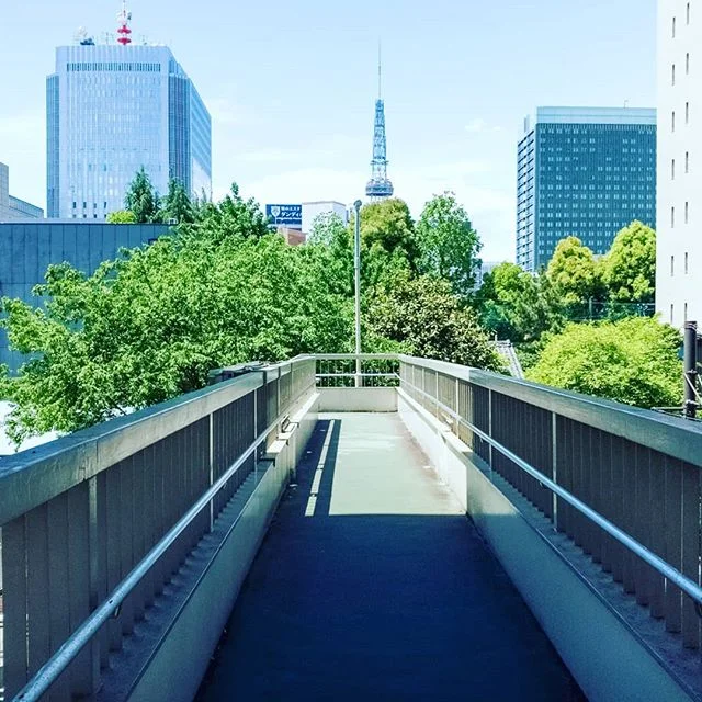 #greens #spring #hotday #beautiful #smellgreen #photographoftheday #tvtower #fulfilled #pedestrianbridge #bridge #shake #refreshing #breaktime #underthesun