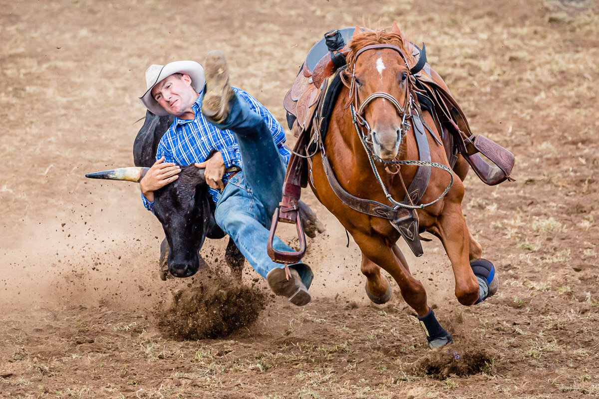 b2Qbn Rodeo 2016-210.JPG