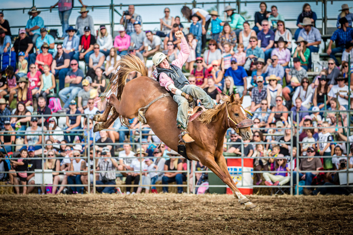 d5Qbn Rodeo 2017-250-2.JPG