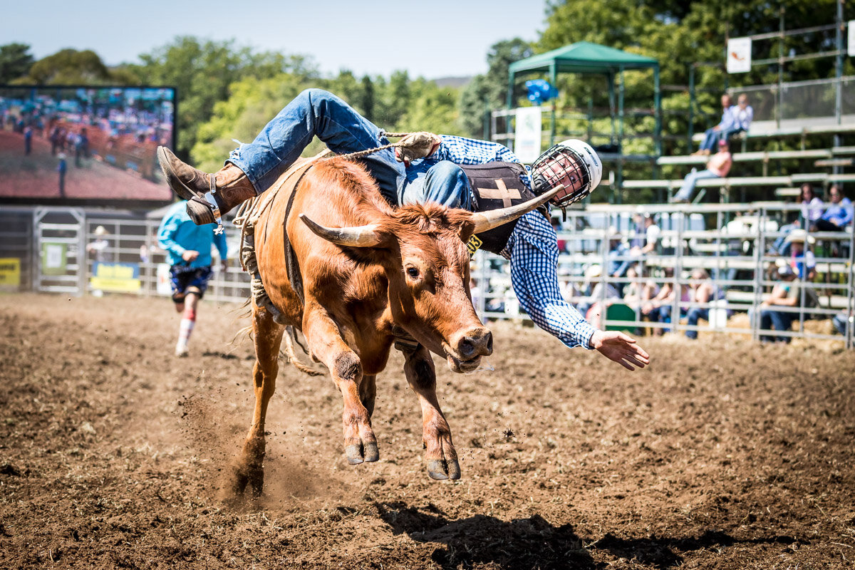 d7Qbn Rodeo 2018-255.JPG