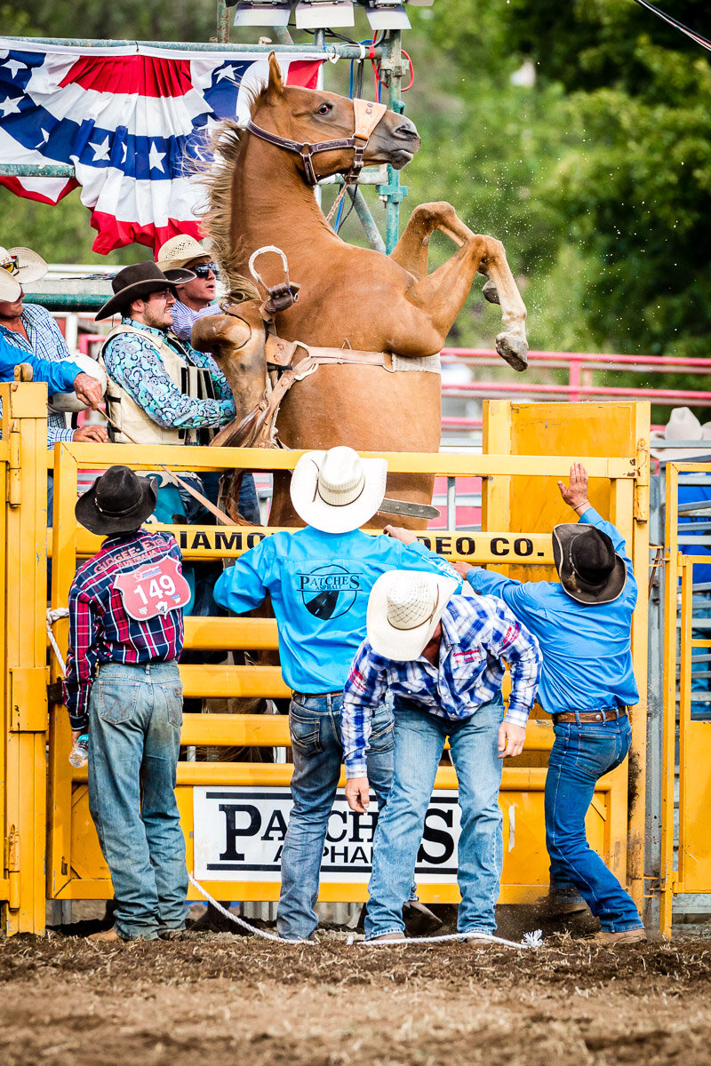 e4Qbn Rodeo 2017-235.JPG