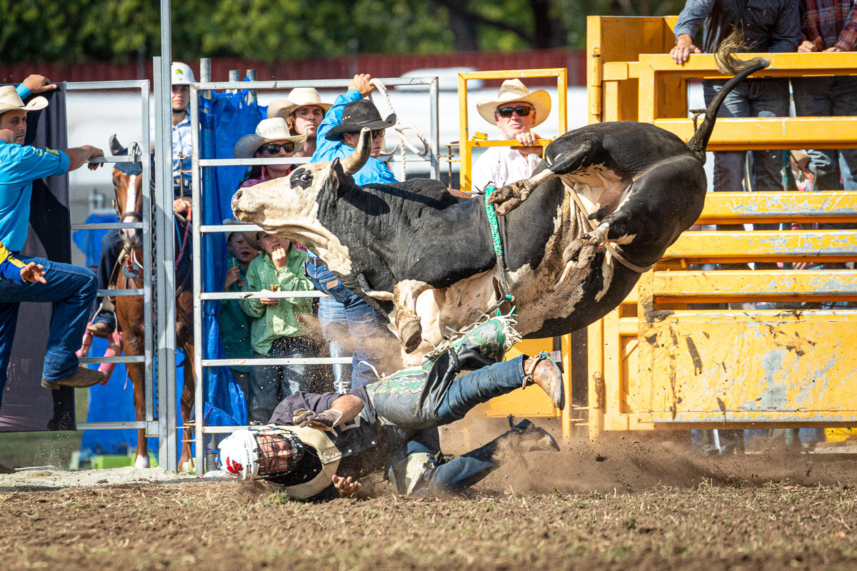 e11Queanbeyan Rodeo 2020-487.JPG