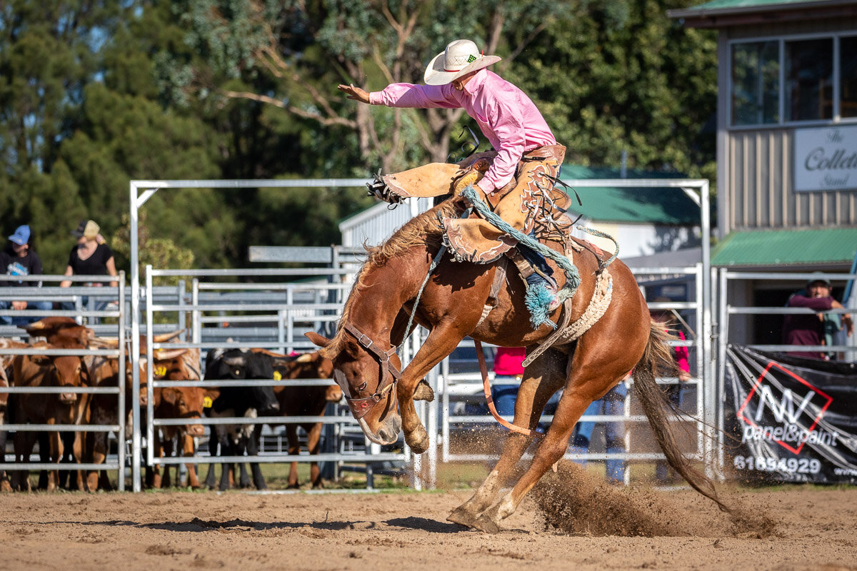 h11Braidwood Rodeo 2019-199.JPG