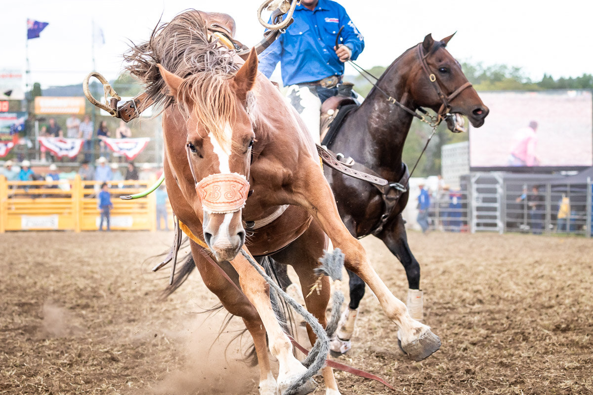 h13Qbn Rodeo 2019-817.JPG