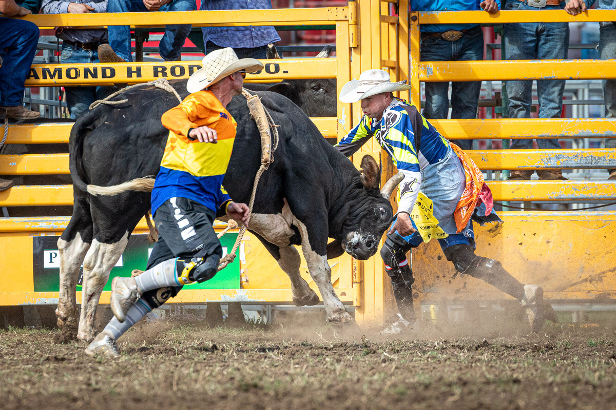 Queanbeyan Rodeo 2020-501.JPG