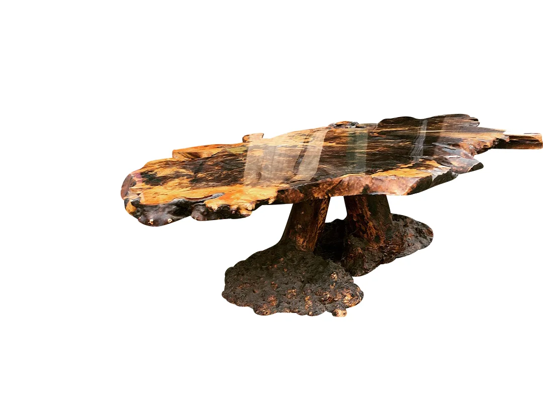 Amazing Californian Tree Trunk Table