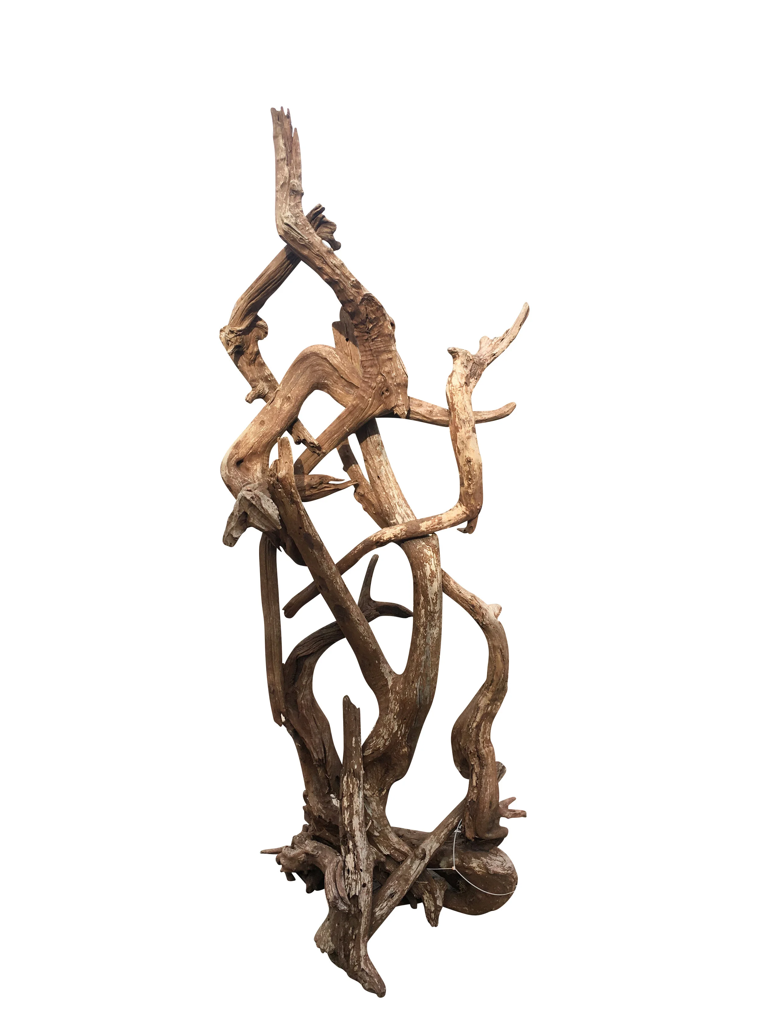 Amazing Driftwood Sculptural Lamp