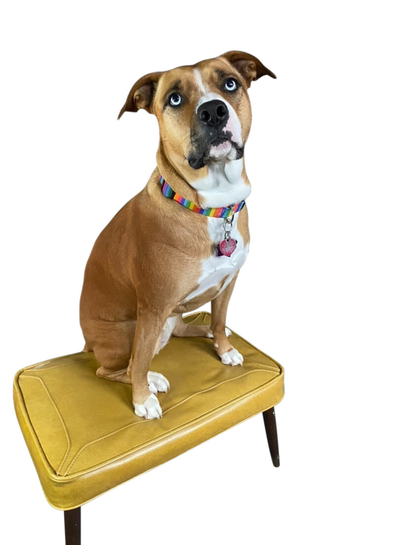 Mid Century Modern Ottoman 