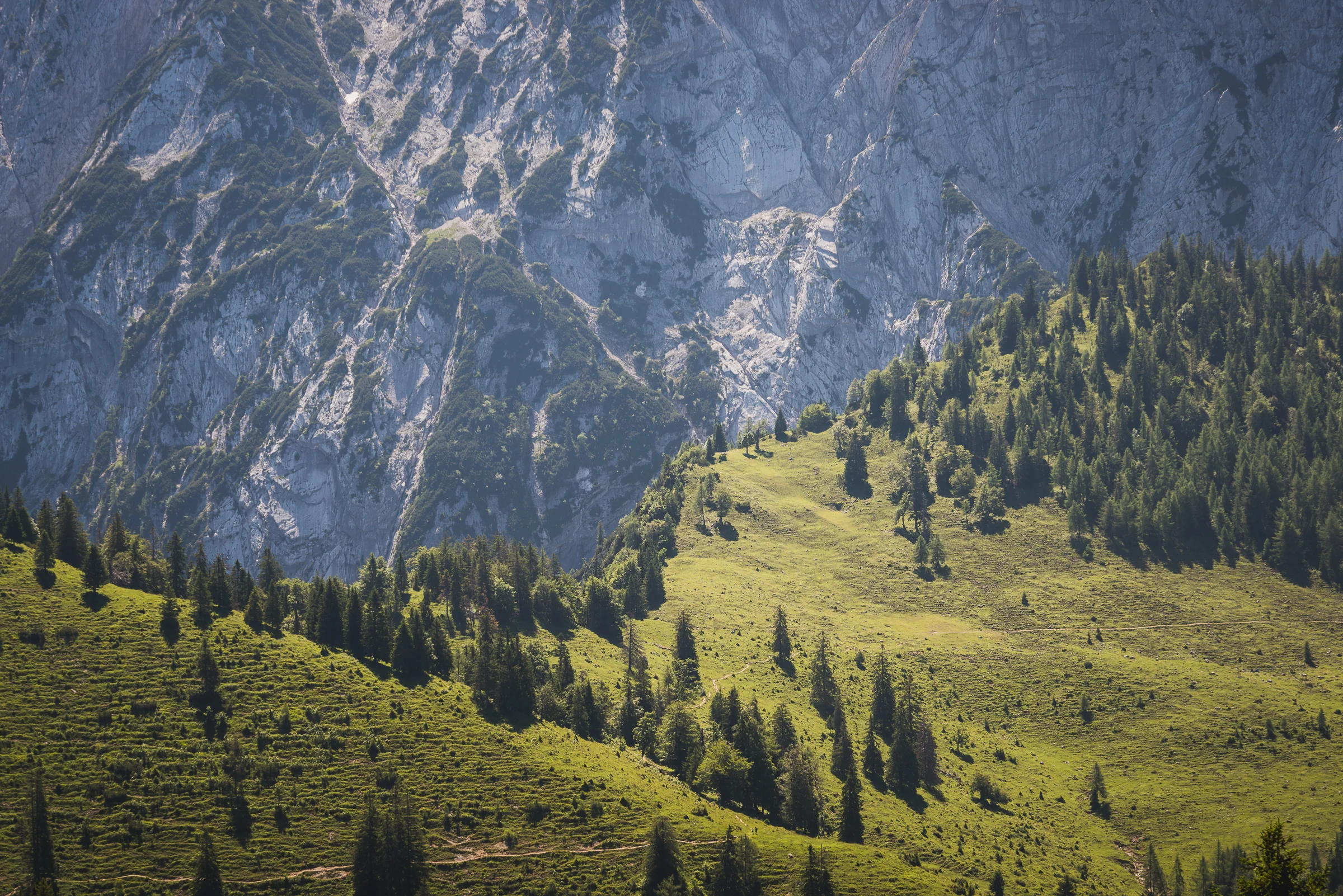 Wilder Kaiser