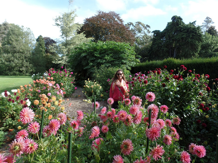 christchurch-botanical-gardens.JPG