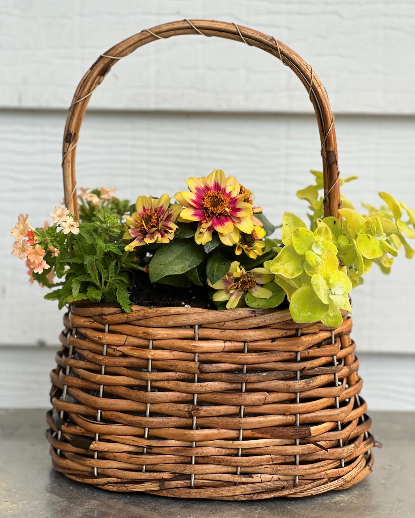 Hi friends! I&rsquo;m offering a limited number of Mother&rsquo;s Day flower baskets filled with annual flowers, vines and foliage. We have two sizes available. Pick up in East Hyde Park anytime Thursday May 8-Saturday May 10th. These baskets are the