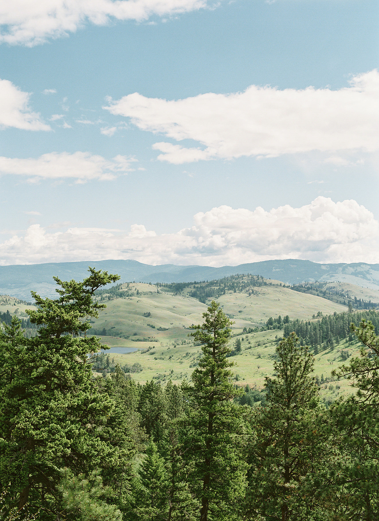 Okanagan_Wedding_WendyJerry-6-1.jpg