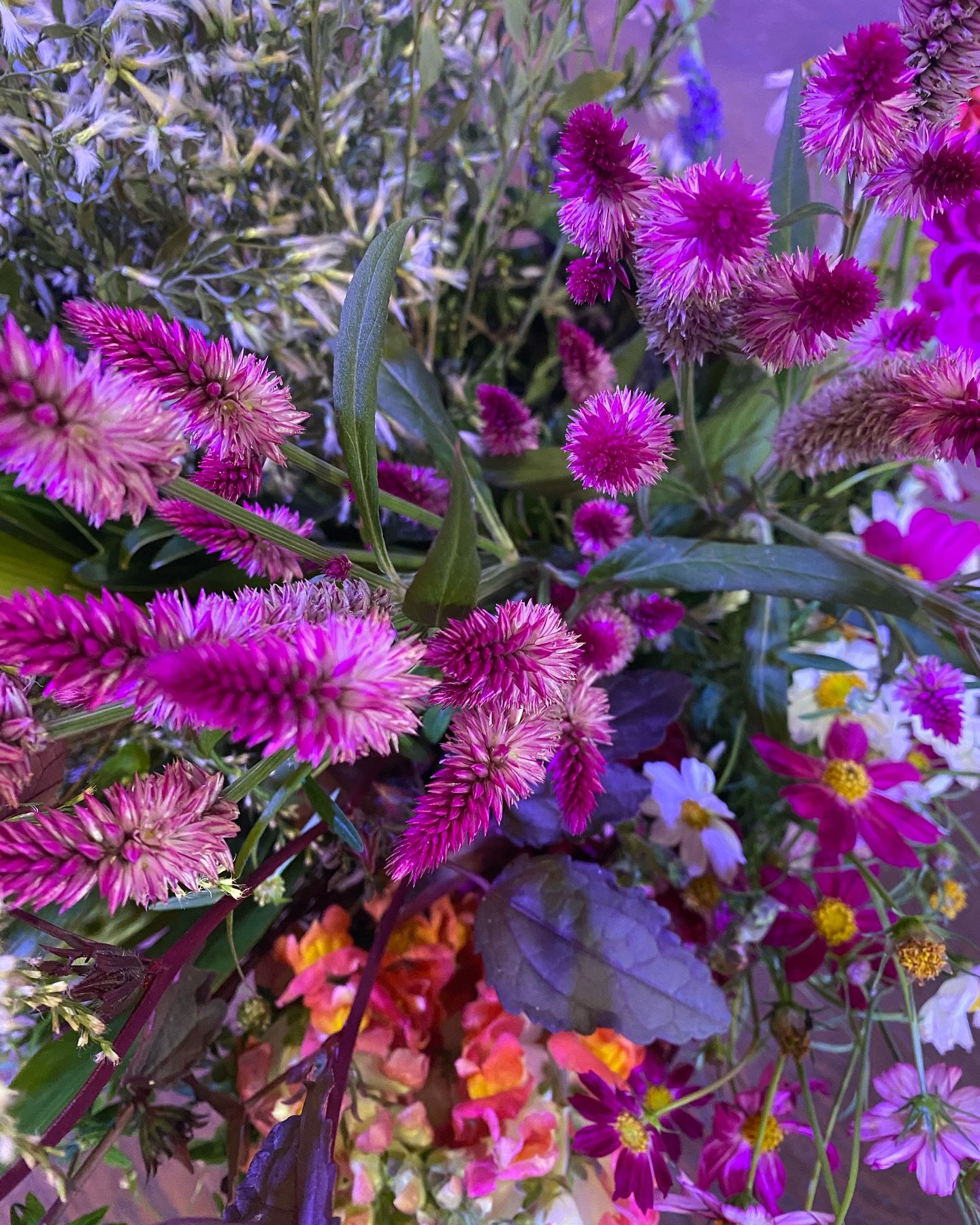 🌸✨ Here&rsquo;s a little sneak peek of the stunning floral arrangements by @permacreekfarm that will be adorning our event space&mdash;and guess what? You could take one home! These gorgeous blooms will be up for raffle at tomorrow night&rsquo;s Fid