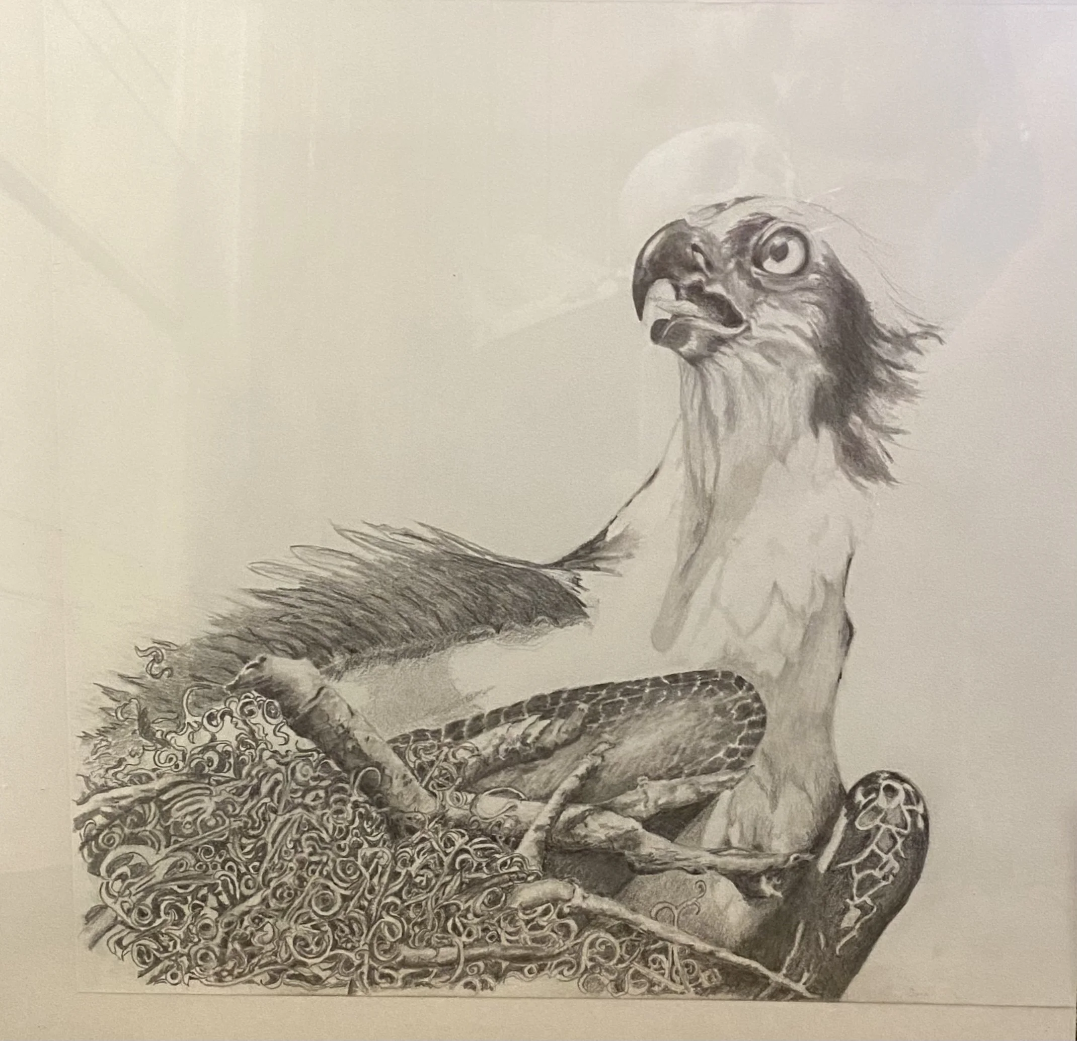 Sarah Myers Pau - A14D94B5-D668-4D67-BDC0-D9E421B7822C.jpeg.jpeg